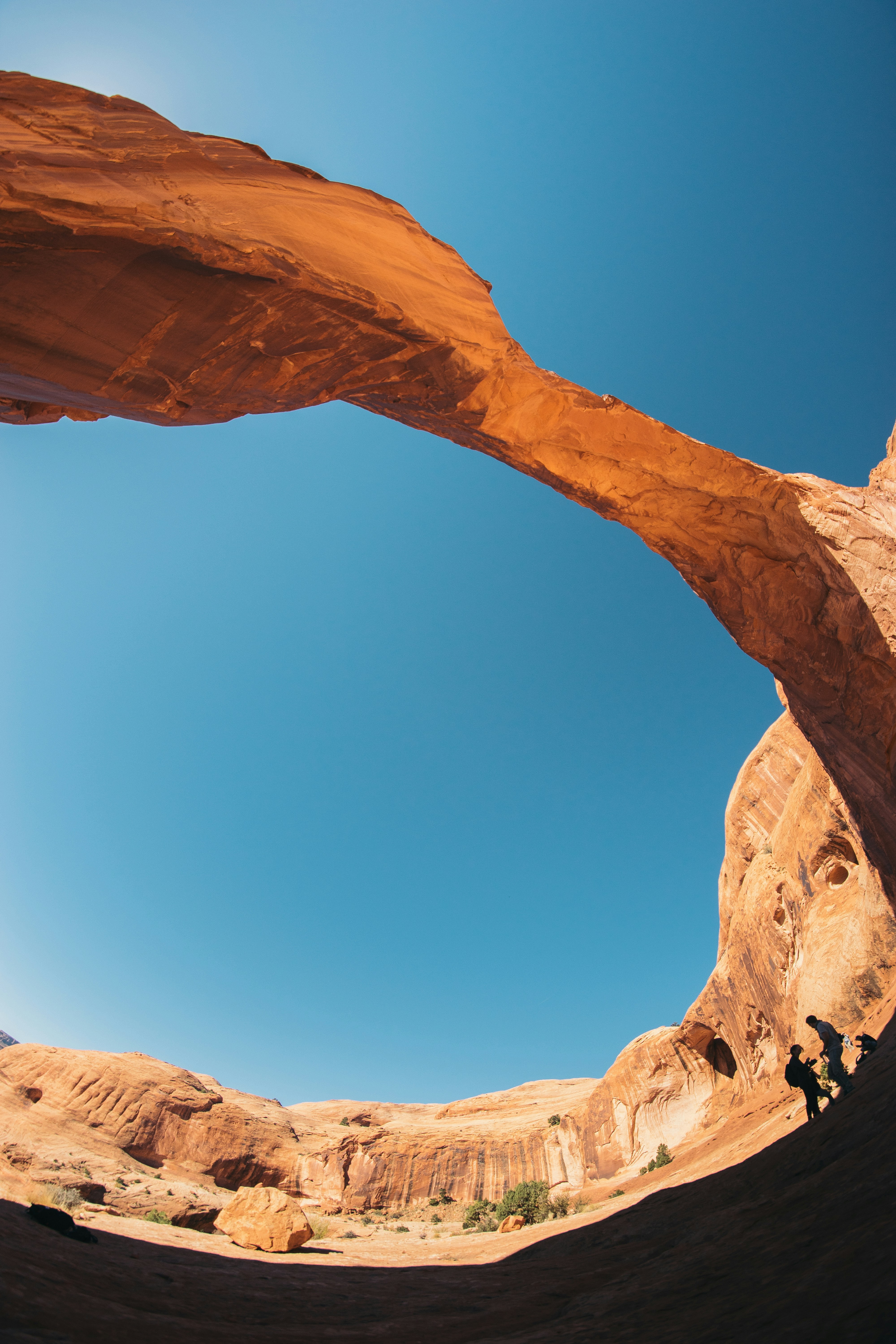 Free Unsplash photo from Tomas Jasovsky