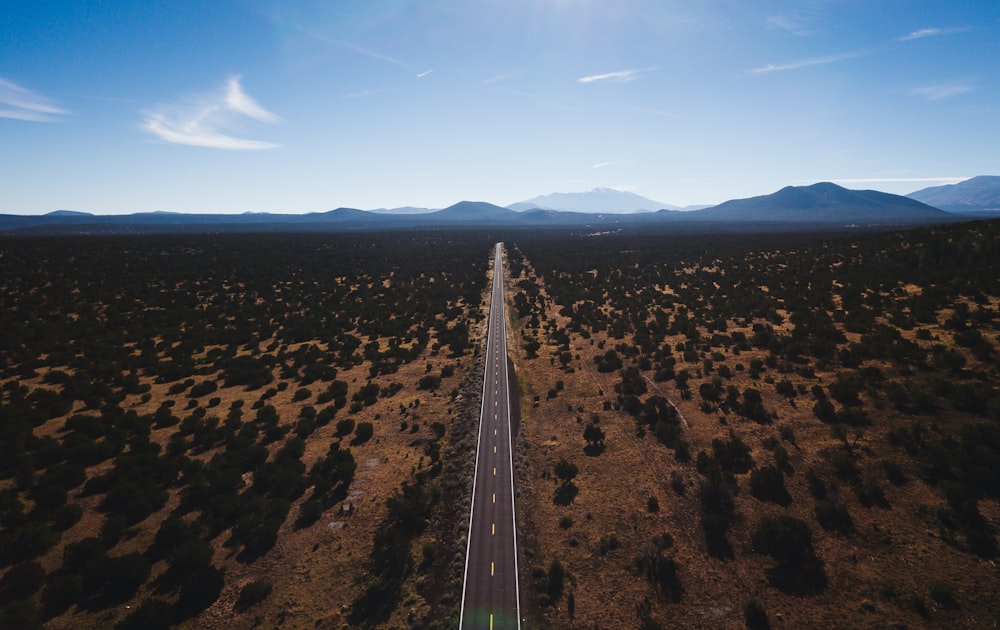 fotografia aerea del sentiero tra la terra