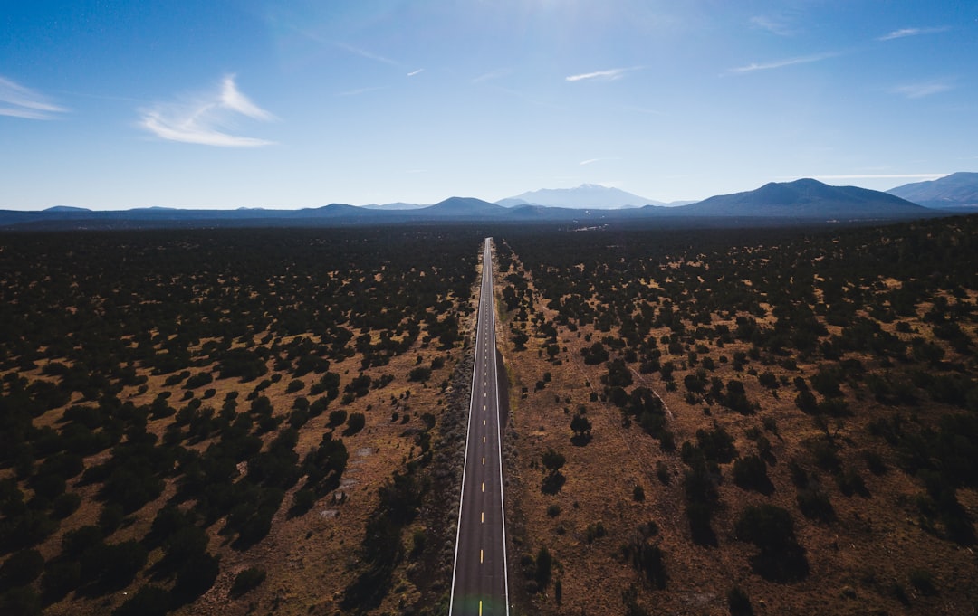 aerial photography of pathway between land