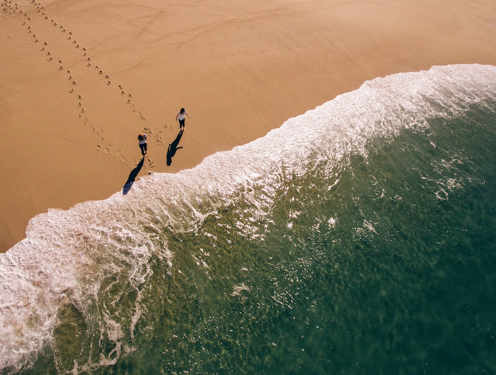 aerial photography of two person walking on shore