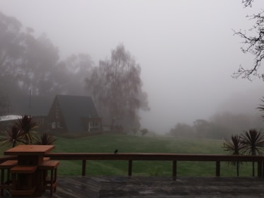 A cozy wooden cabin porch overlooking a misty forest in early morning light.