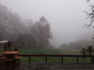 A cozy wooden cabin porch overlooking a misty forest in early morning light.