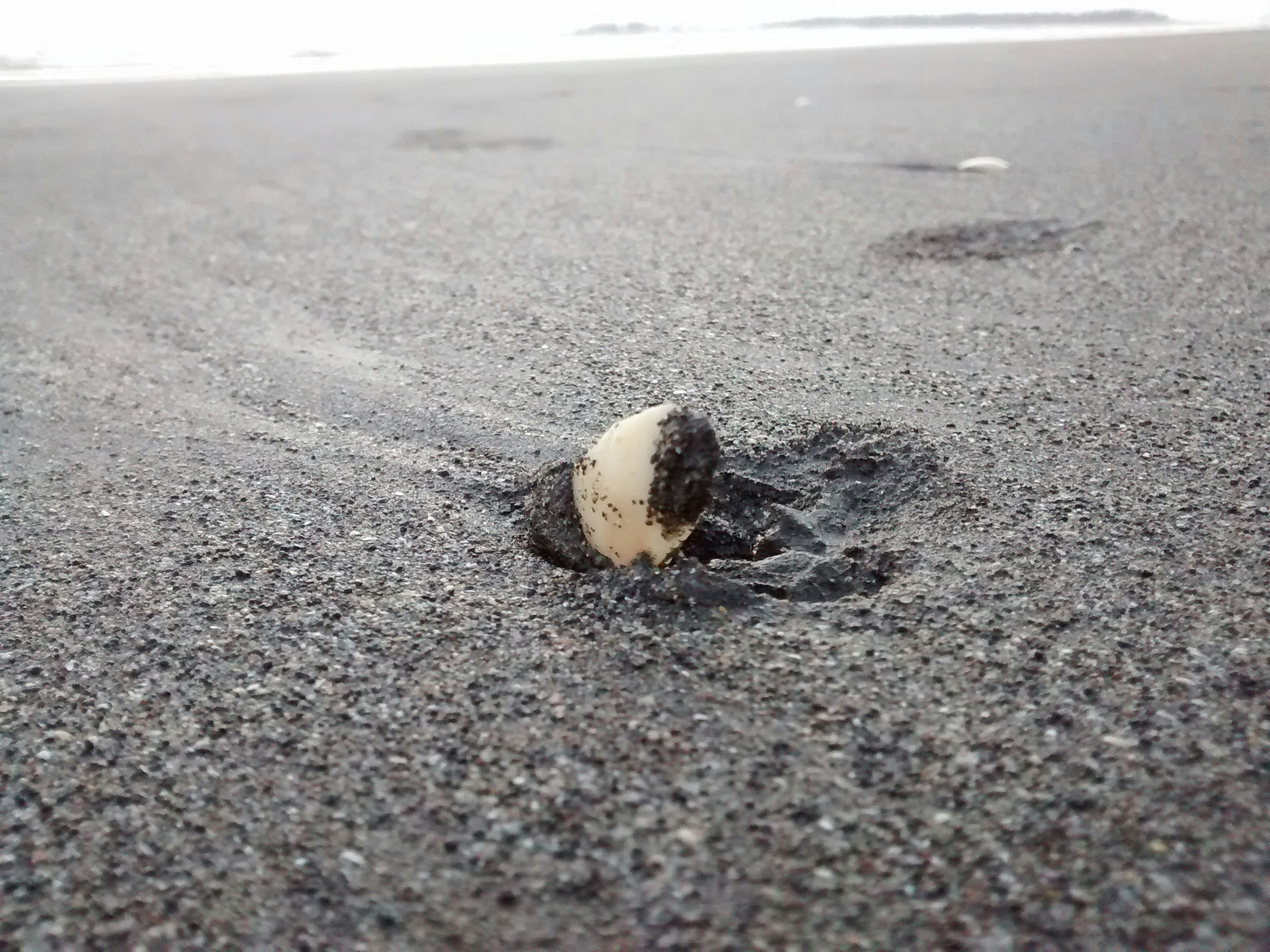 Free Unsplash photo from Omkar Dharmadhikari