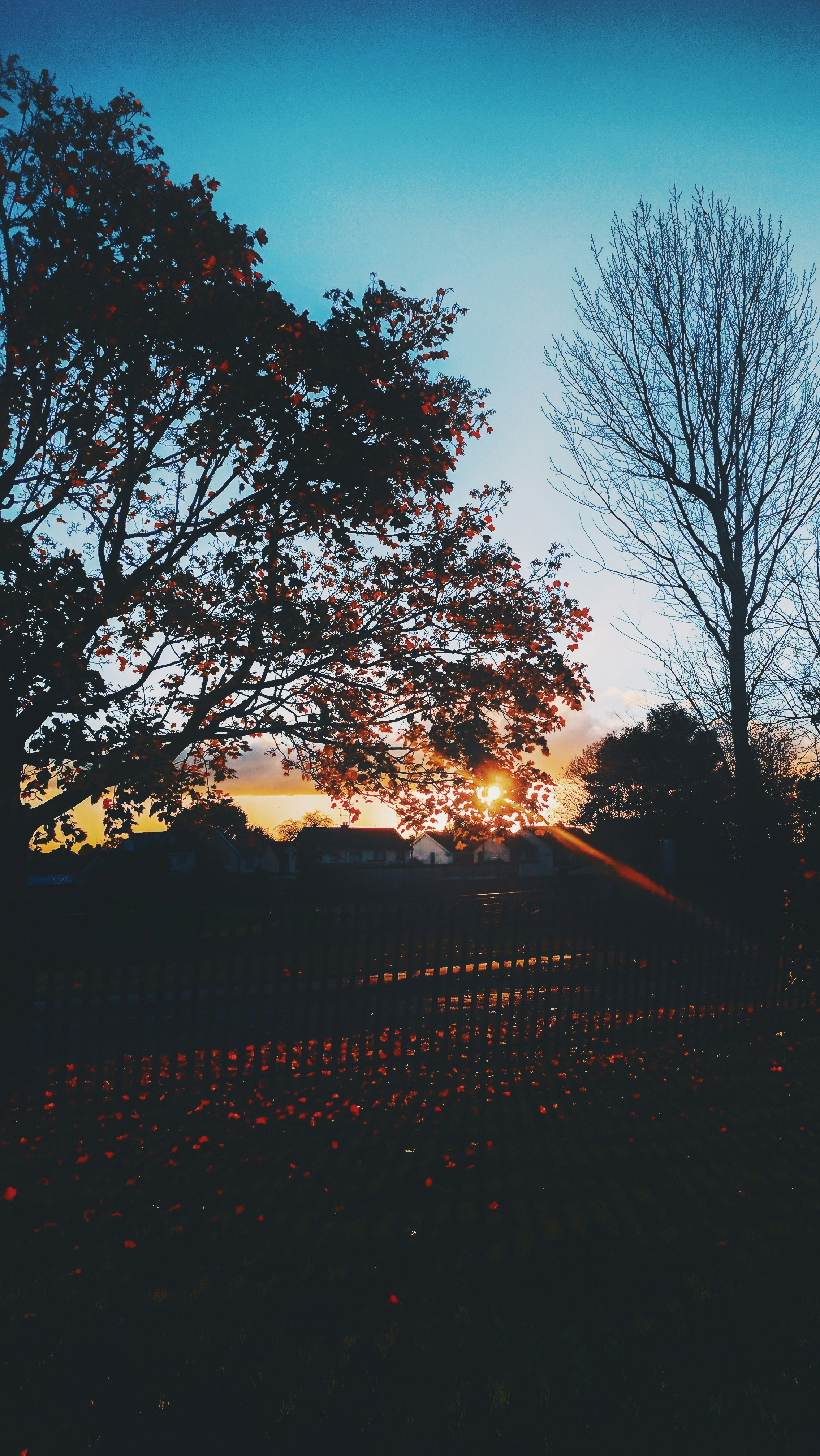 Chunking Mastery: How Experts See Patterns Invisible to Beginners