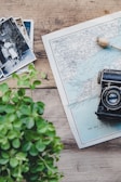 black and silver TLR camera on Isle Of Wight map