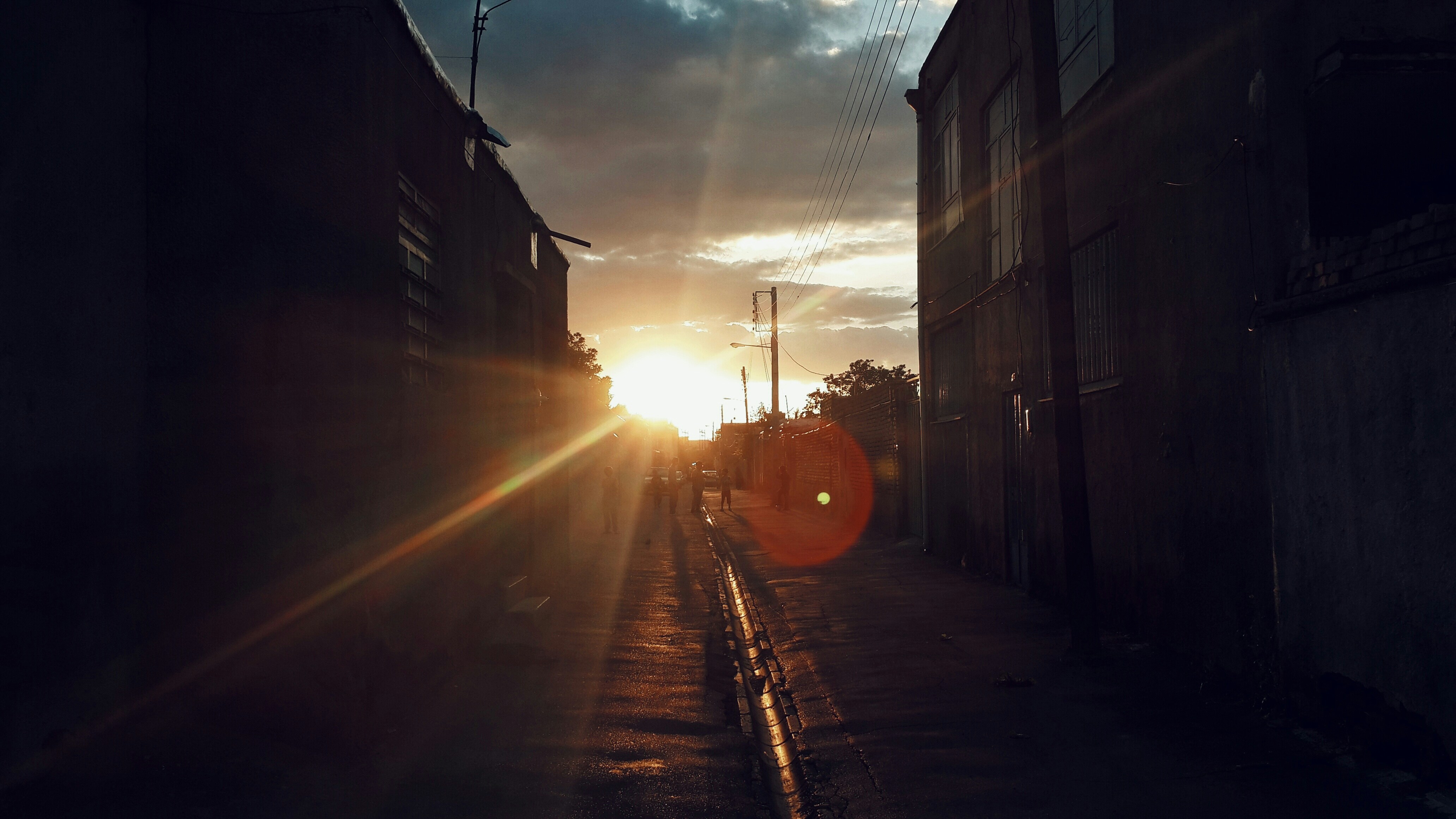 Free Unsplash photo from amir hosseini