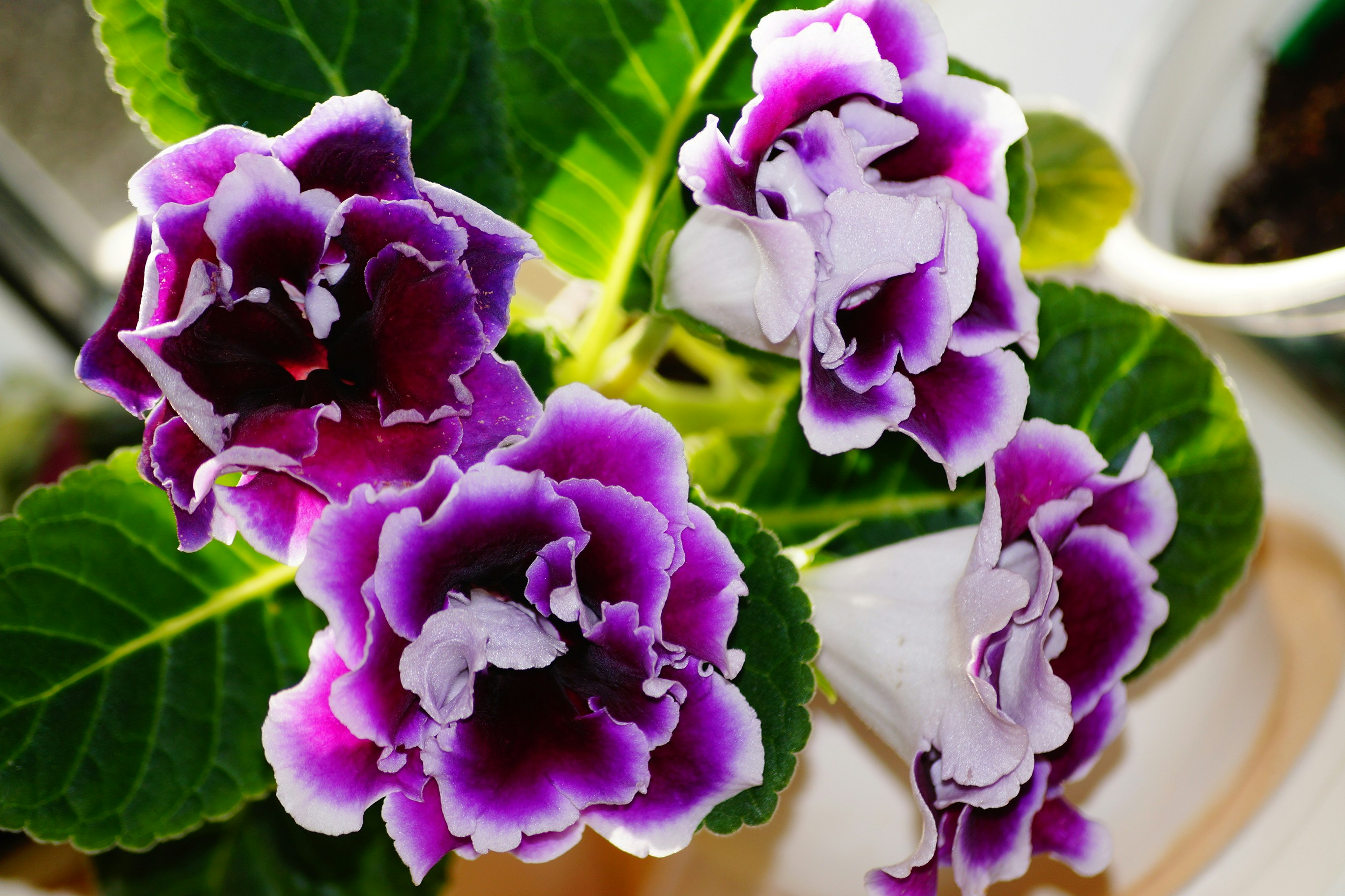 Free Unsplash photo from Александр Жилин