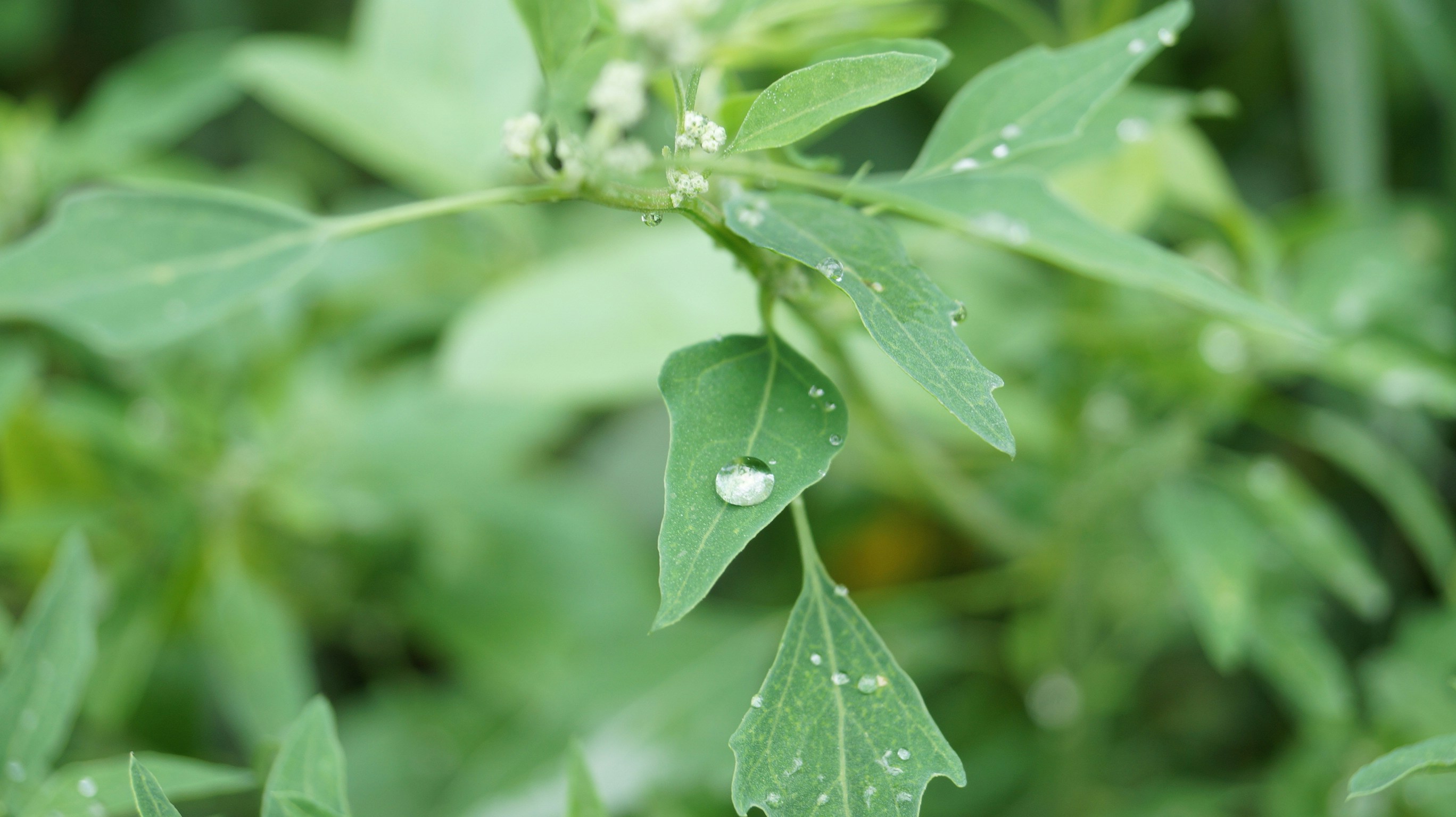 Free Unsplash photo from Александр Жилин