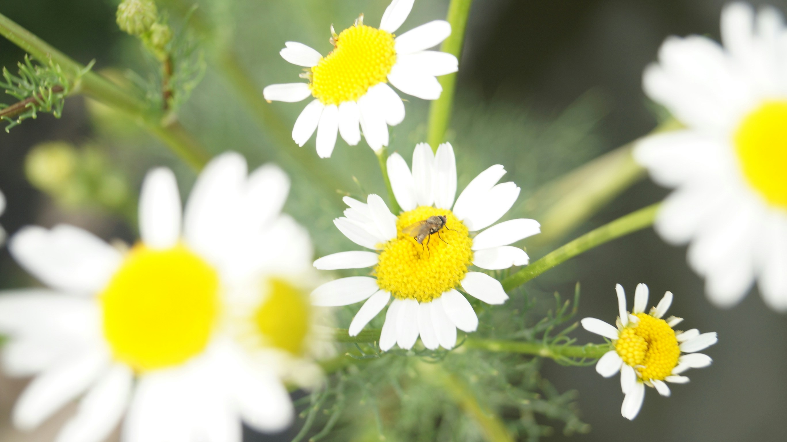 Free Unsplash photo from Александр Жилин