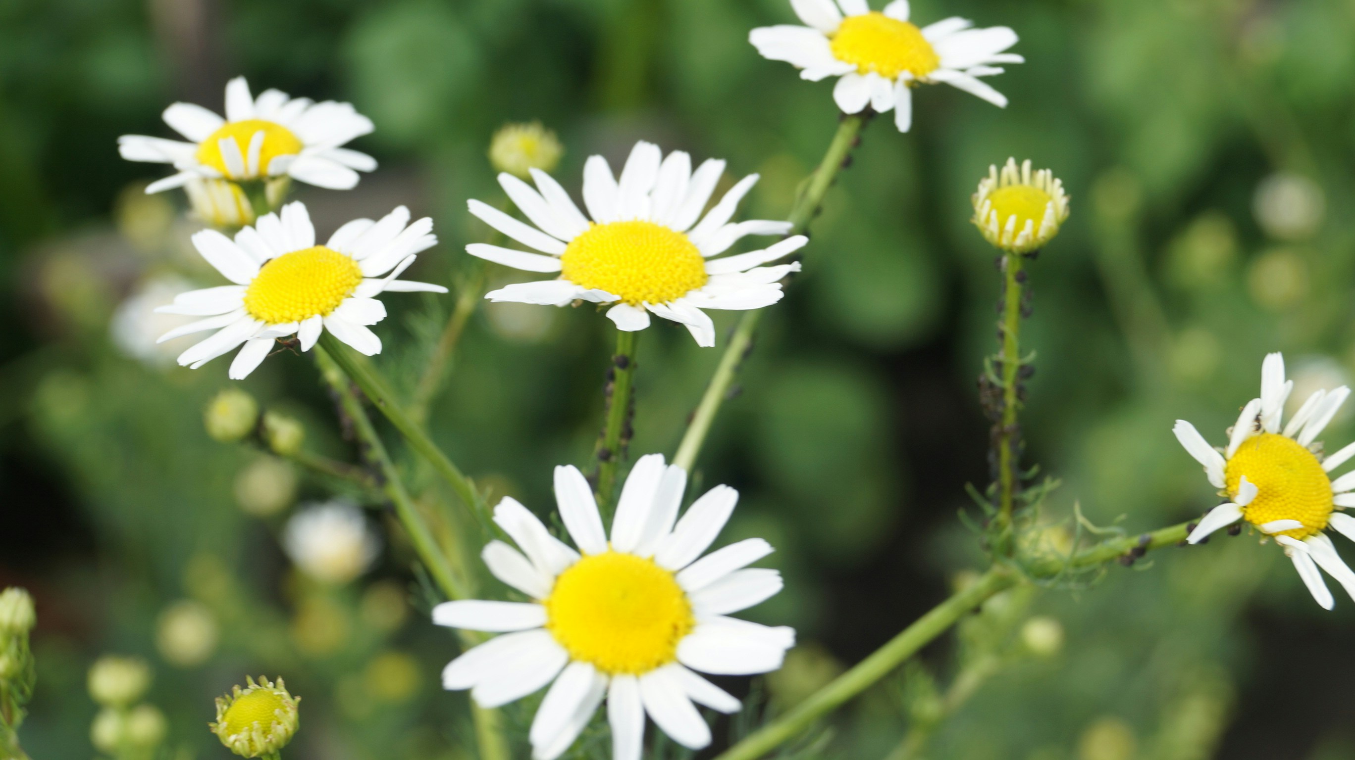 Free Unsplash photo from Александр Жилин