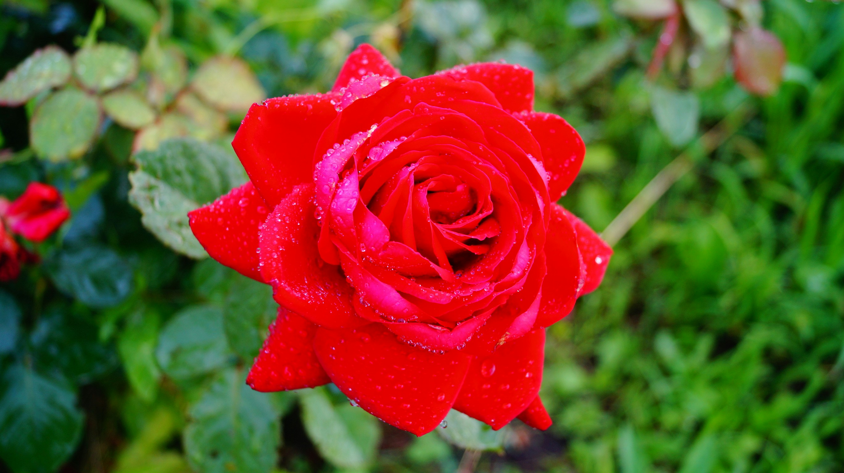 Free Unsplash photo from Александр Жилин