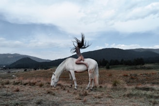 A person is balancing elegantly on the back of a white horse in a vast, open field under a cloudy sky. Their hair flows dramatically, creating a dynamic and graceful scene. The background consists of rolling hills covered with trees and a mix of green and brown tones.