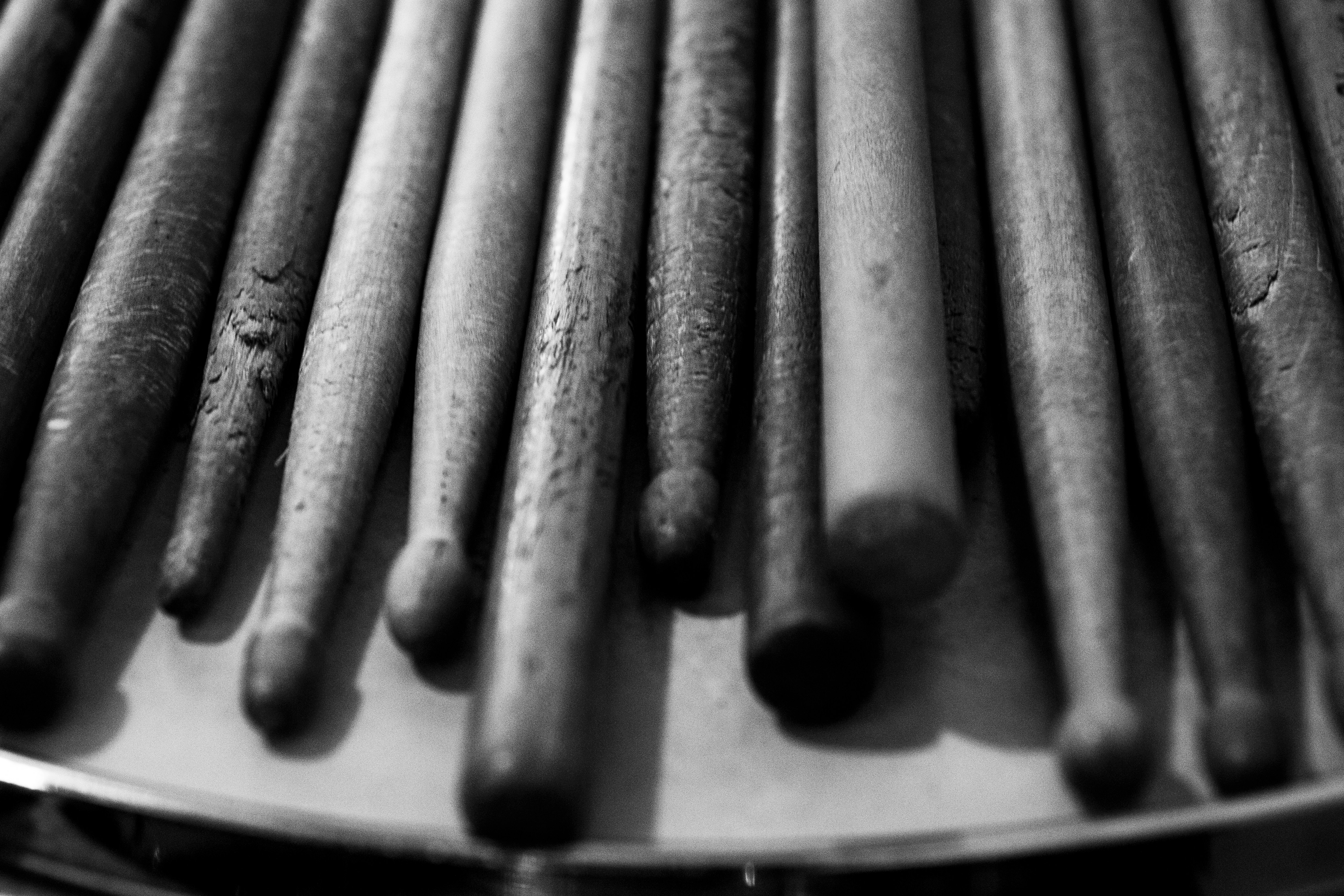 Free Unsplash photo from Priscila Appella