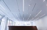 A modern interior space with a high ceiling featuring linear LED lighting strips and spotlights. The room has large floor-to-ceiling windows letting in natural light. The architecture is minimalist with an emphasis on clean, geometric lines.
