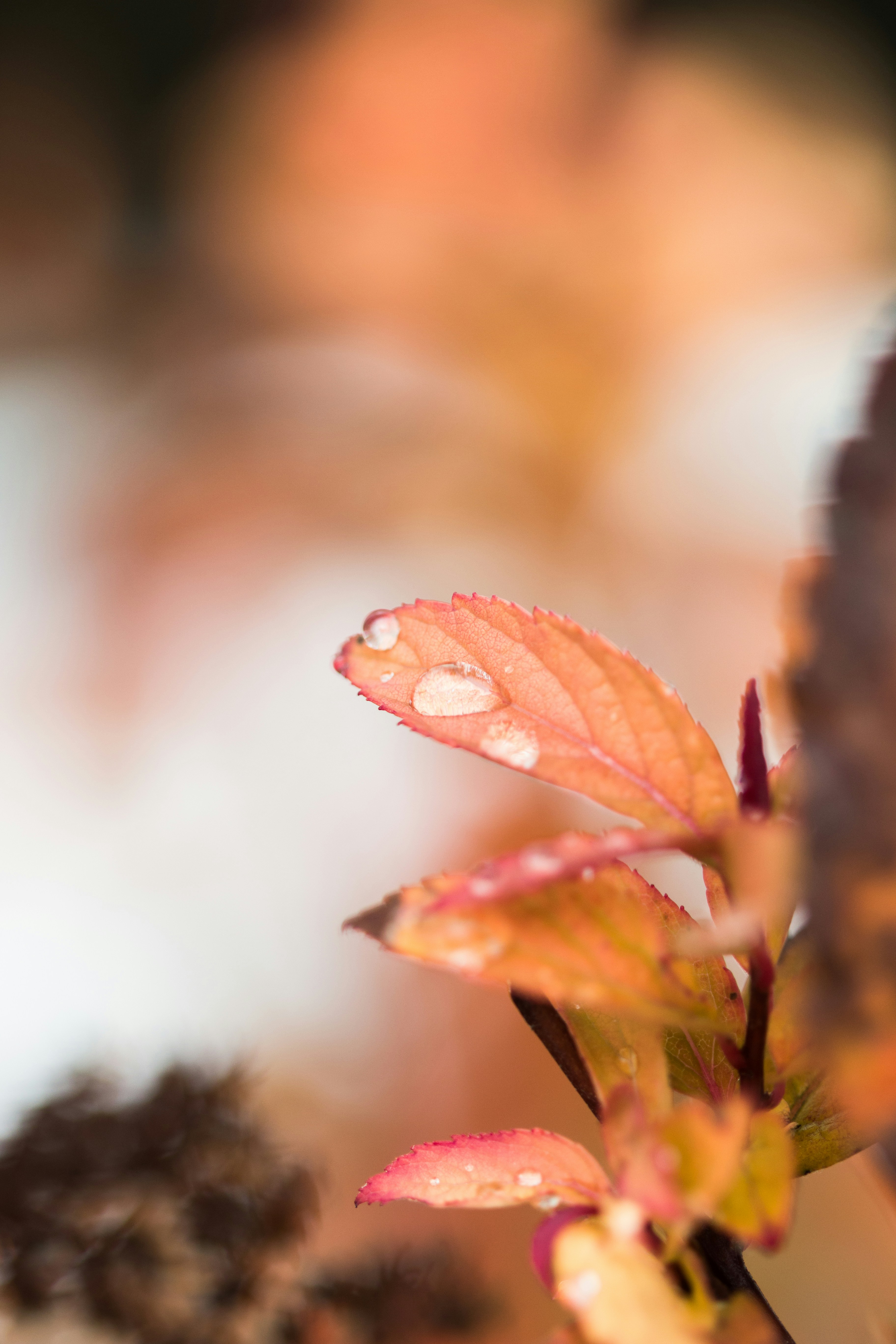 Погода она внутри...... А за окном всего лишь время года... Доброго дня!... Хо