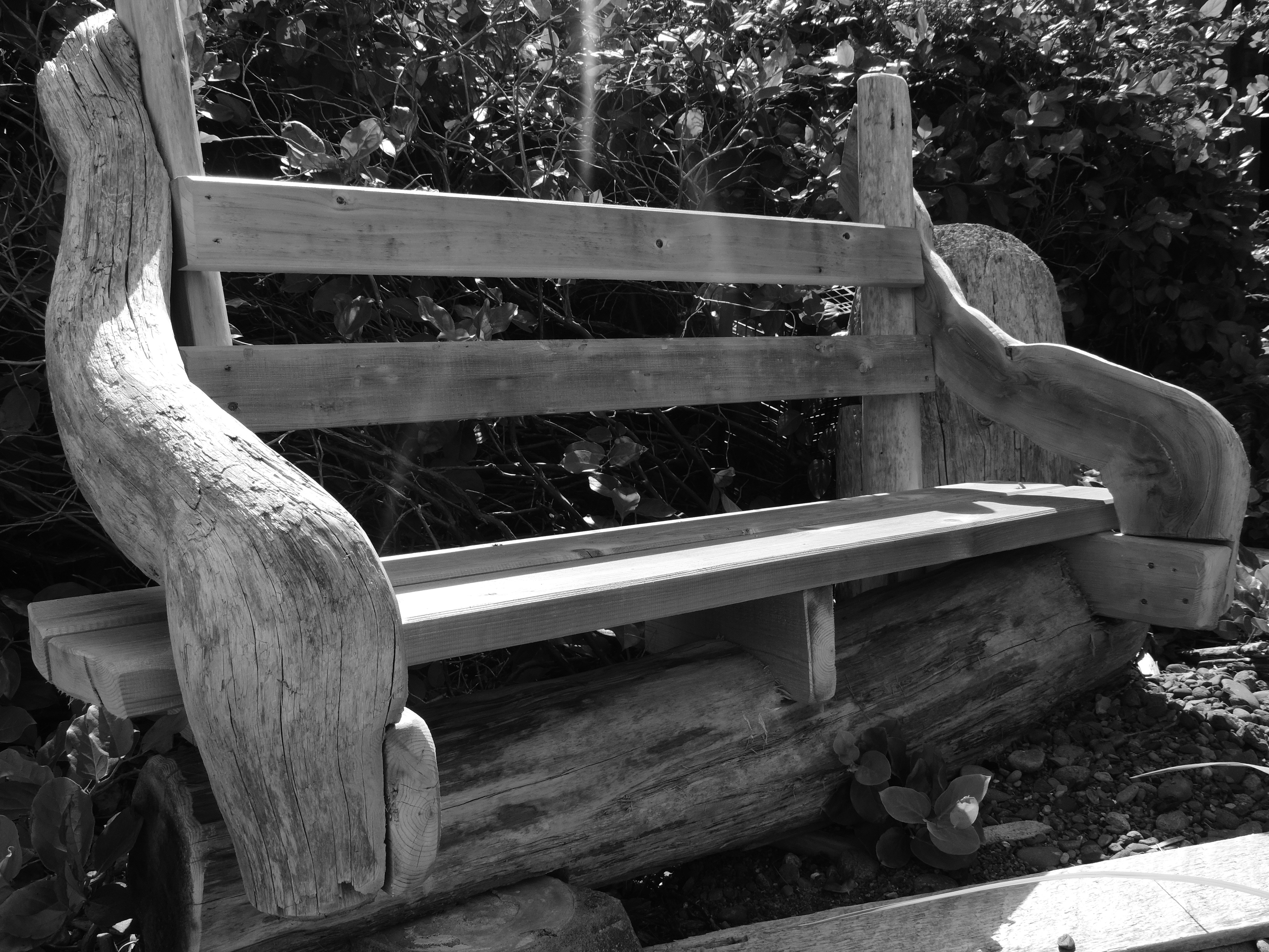 Free Unsplash photo from Carolyn Hyde