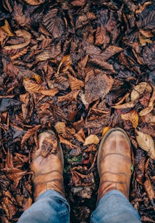 person stepping on dried leaves