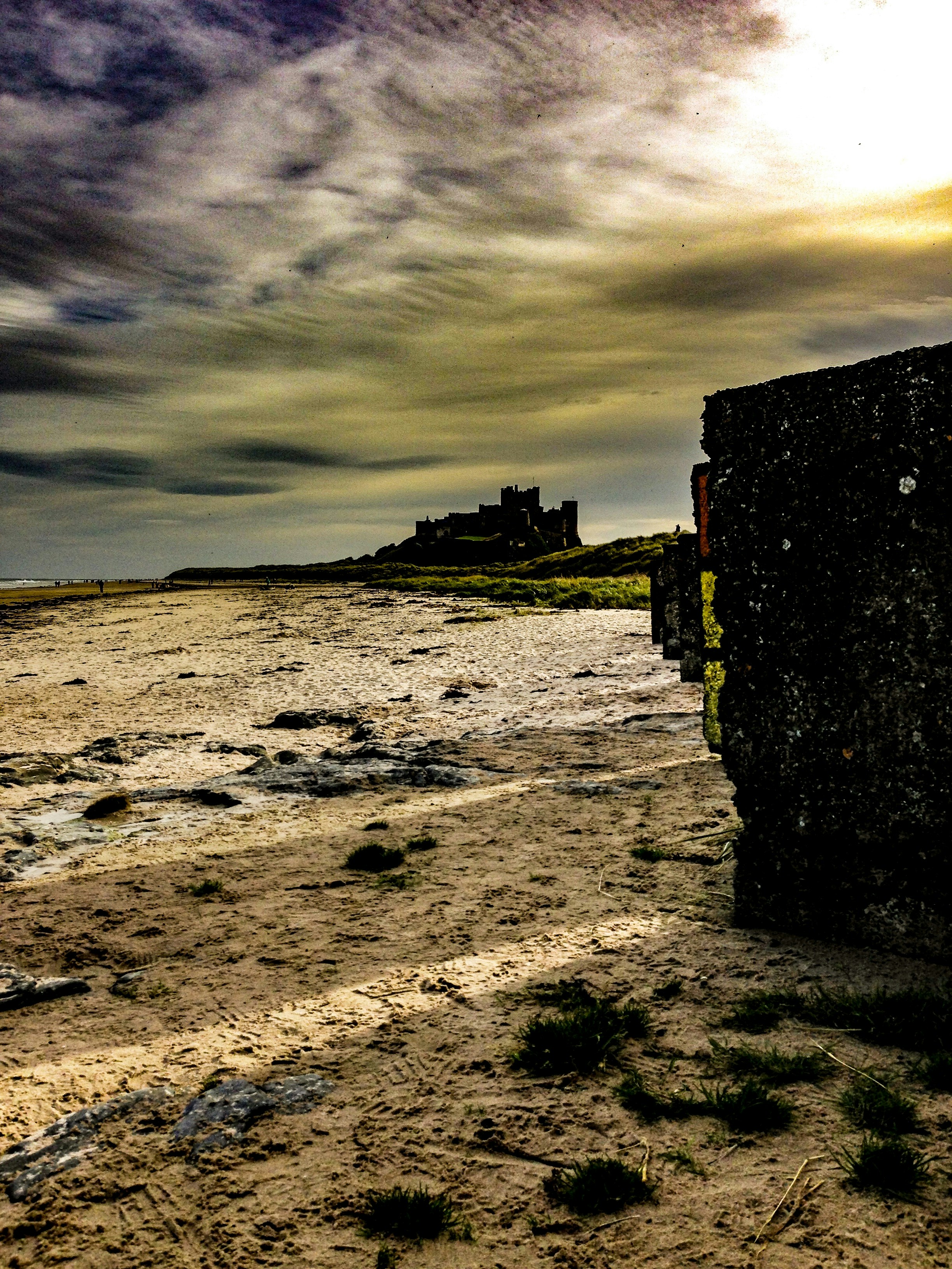 Free Unsplash photo from Milo Dennison