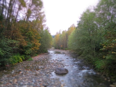 Peaceful Idaho nature scene with gentle river flowing through autumn trees.