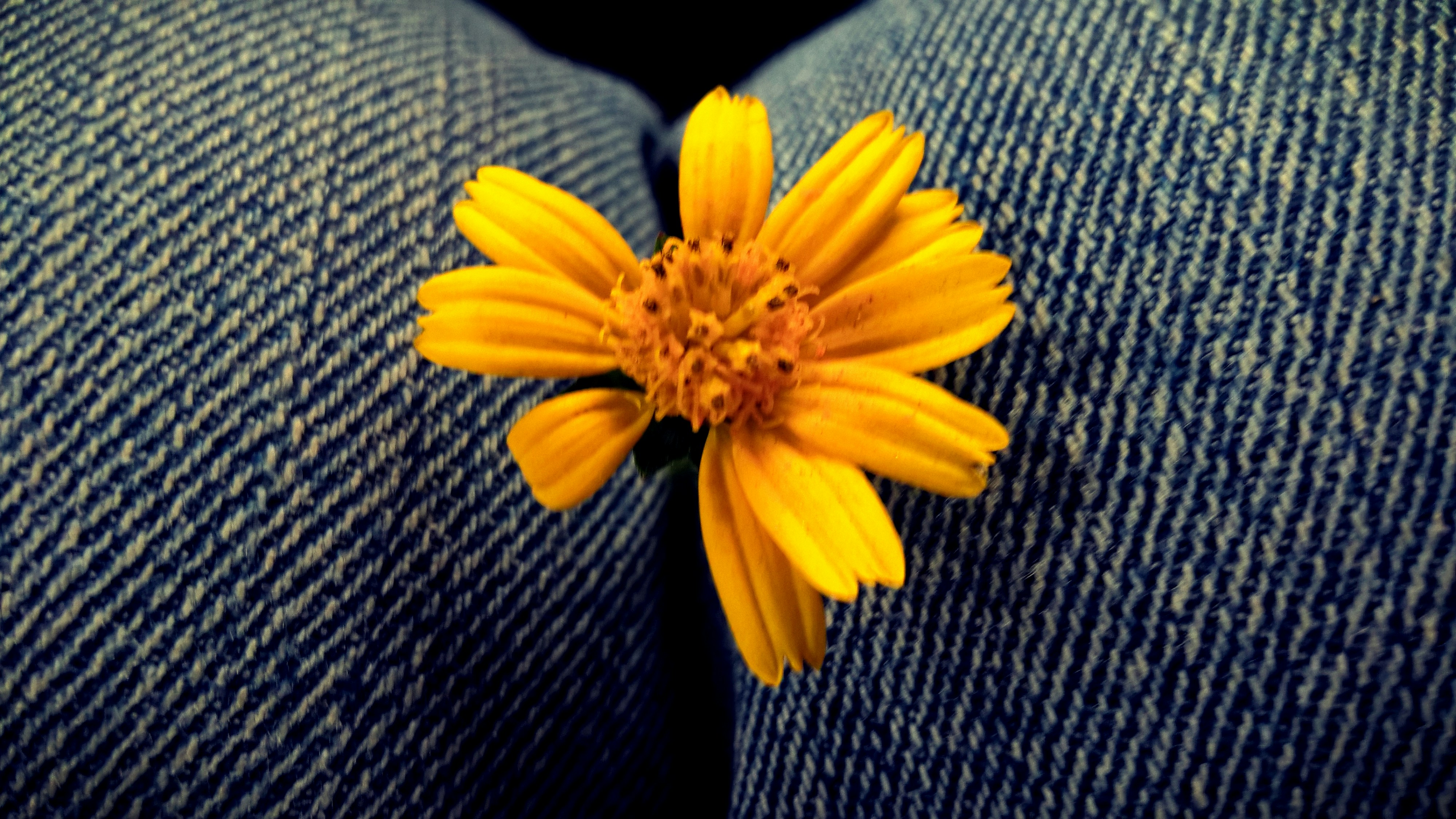 Free Unsplash photo from Jobair Md