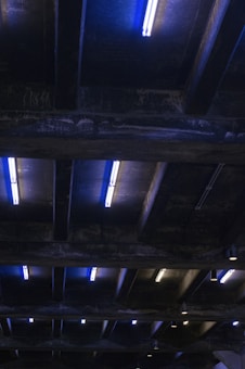 A series of overhead fluorescent lights emitting a blue glow are set against a dark, industrial-style ceiling with large beams.