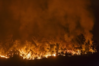 A fiery wildfire glowing against the night, with smoke billowing into the dark sky.