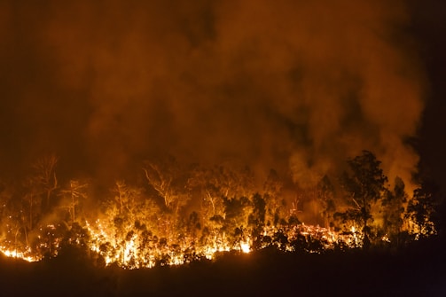 A fiery wildfire glowing against the night, with smoke billowing into the dark sky.