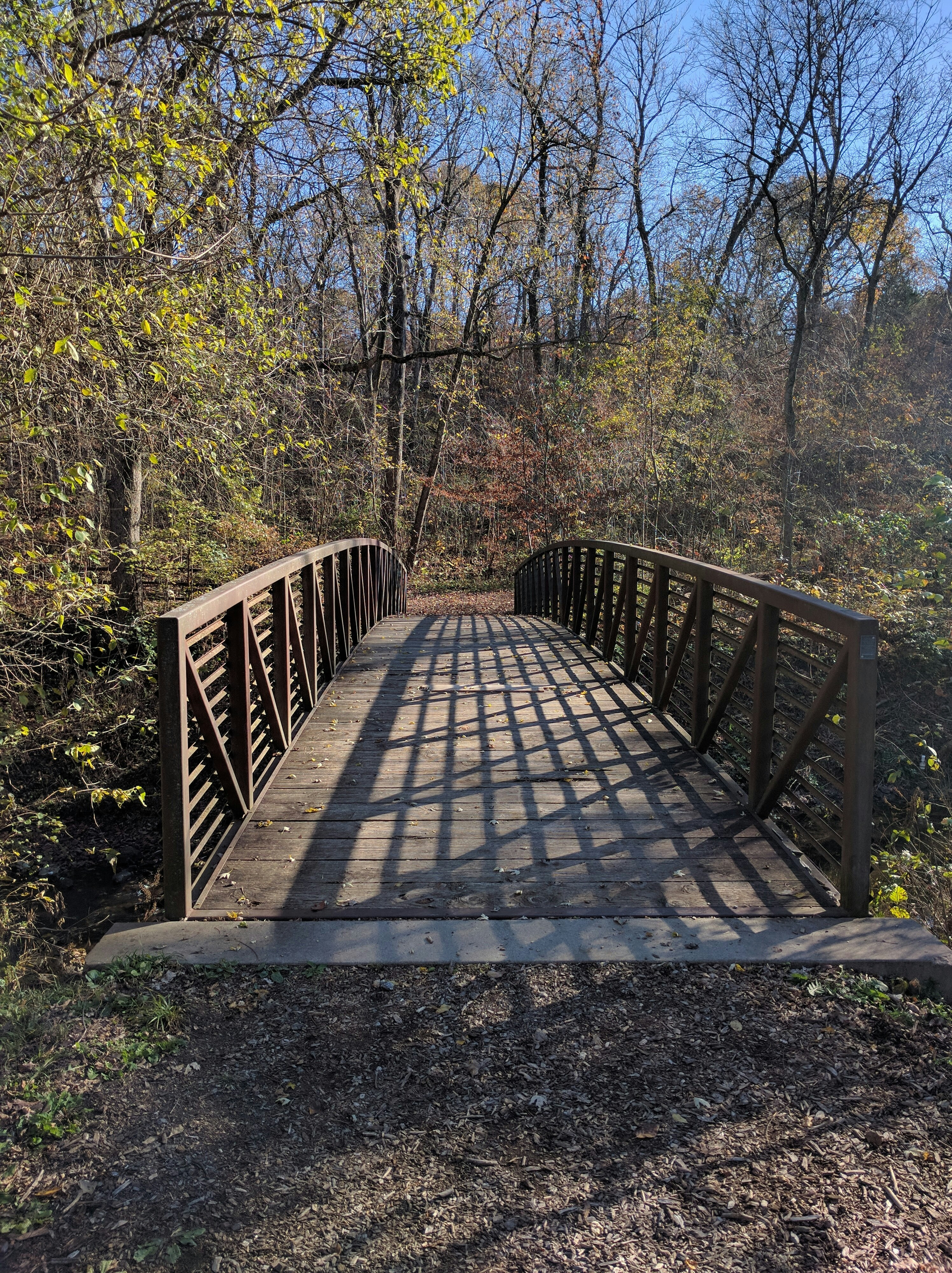 Shadow Leafe Path And Steel Hd Photo By Chris Ryser Chrisryser