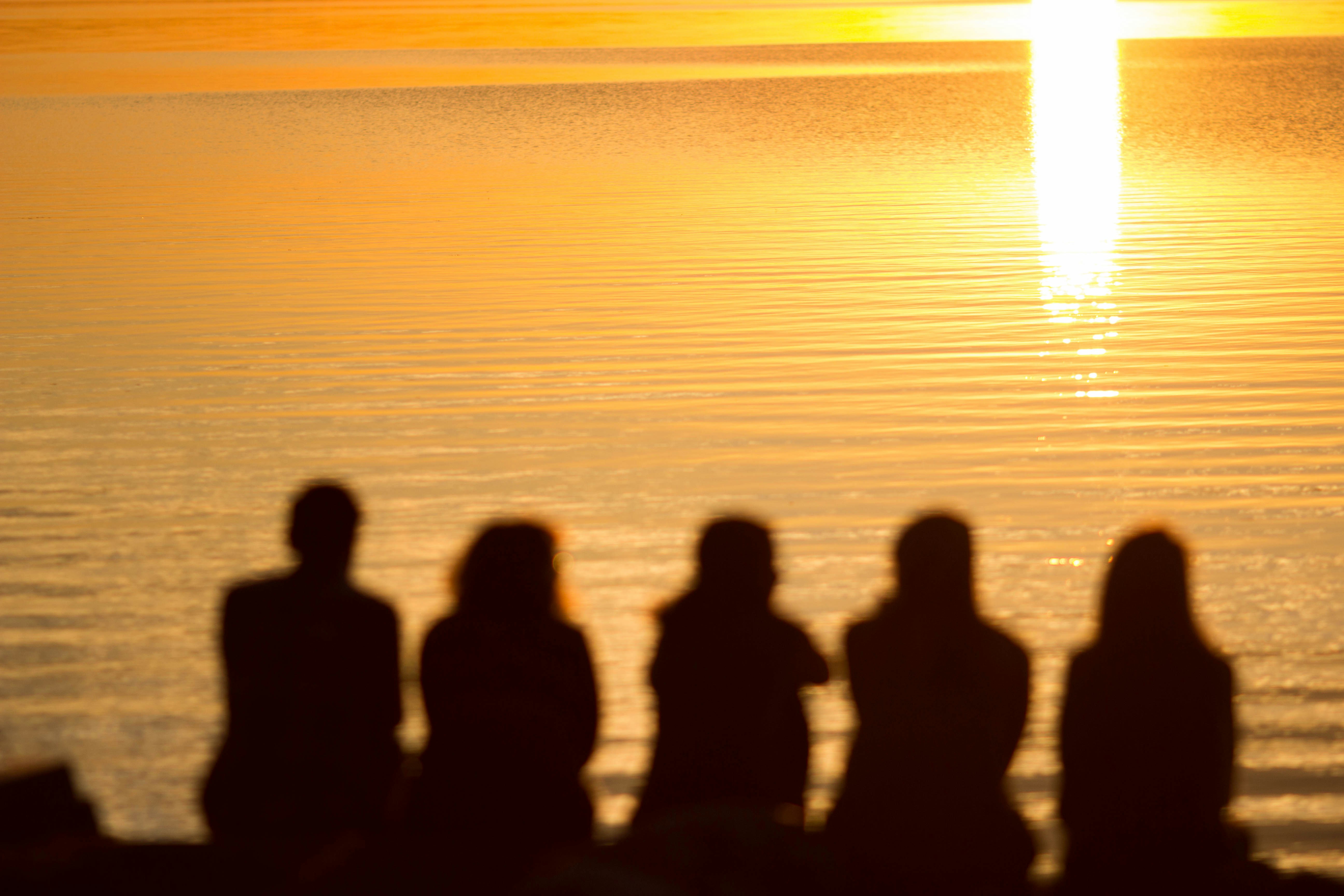 Free Unsplash photo from Gustavo Tiffer