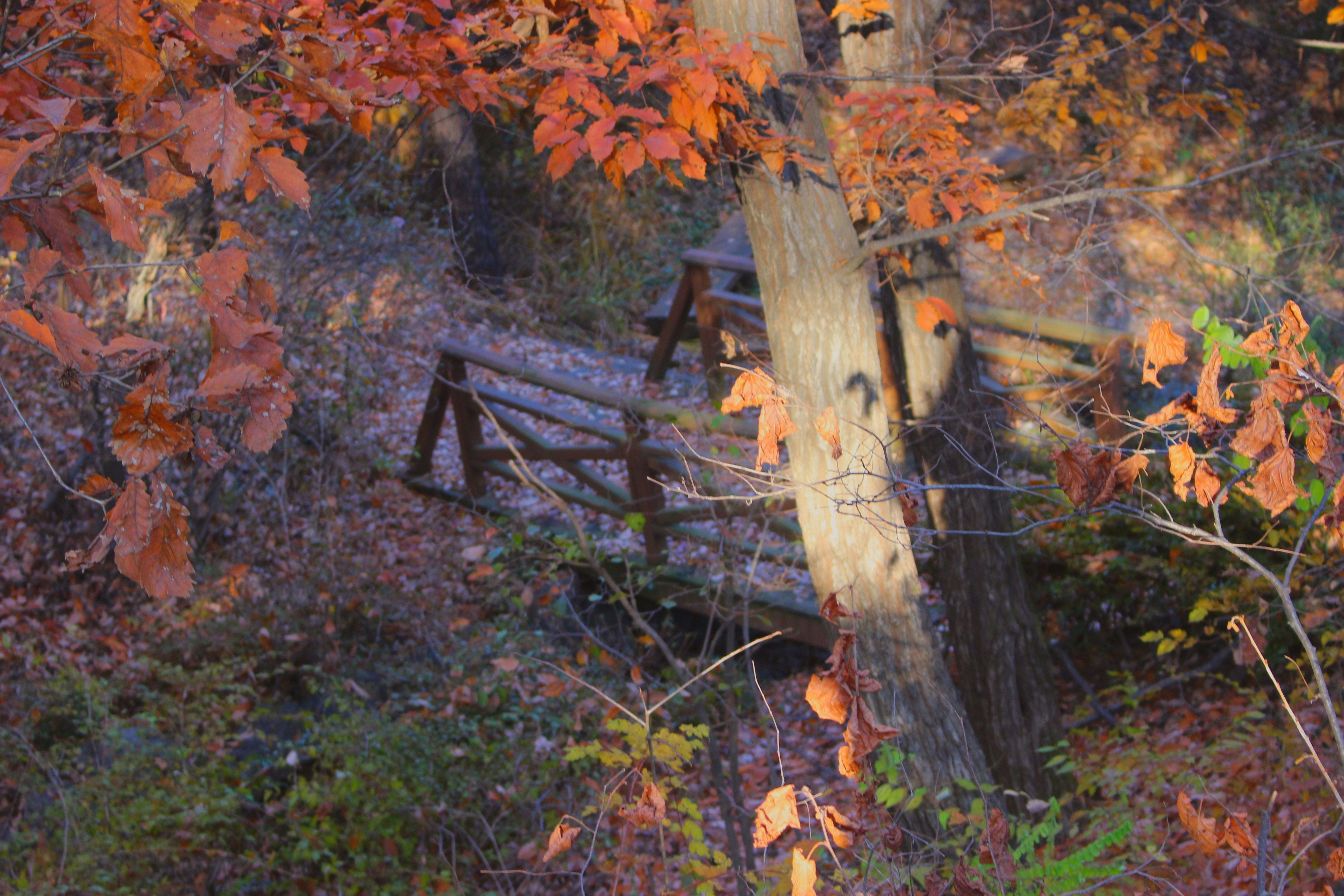 Free Unsplash photo from Hwang Mihyun