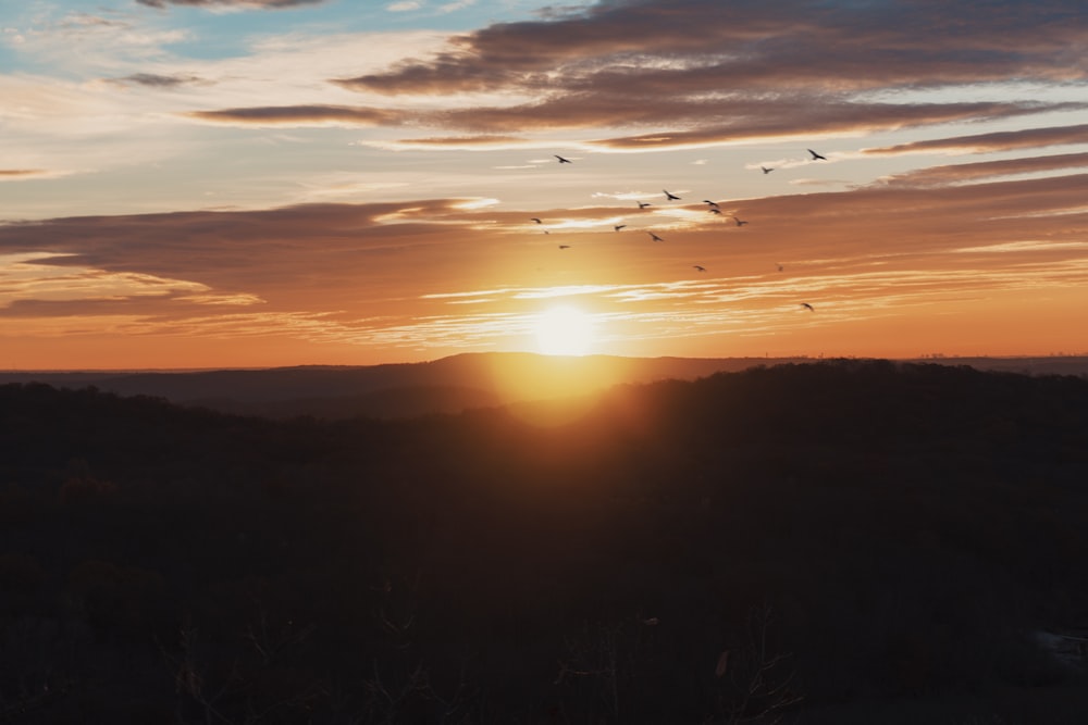 a sunset with birds flying in the sky