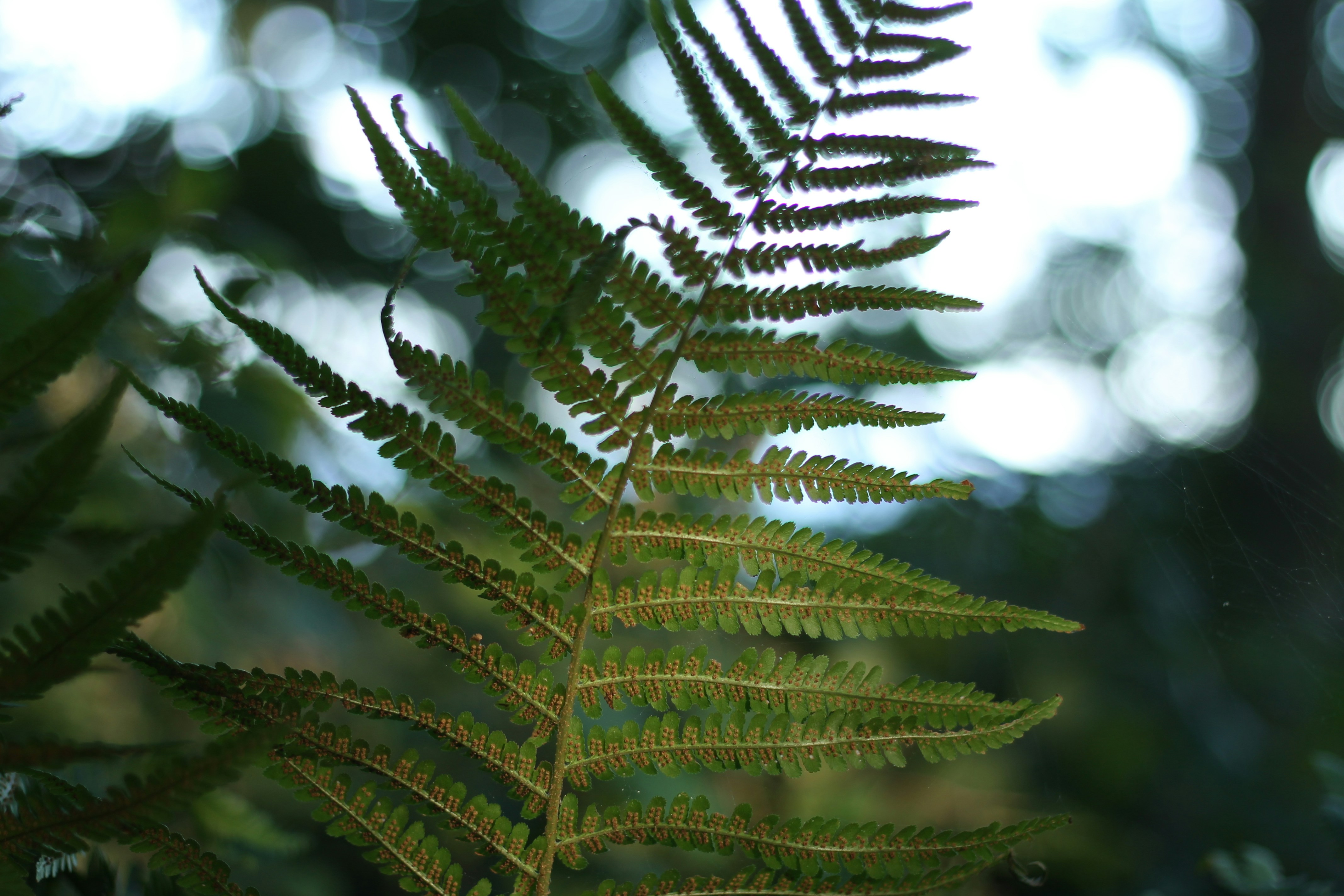 Free Unsplash photo from Very Clean