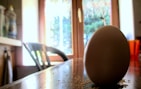A happy customer enjoying a pickled egg at a cozy kitchen table.