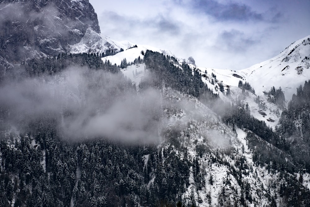 montanhas com neve branca e nevoeiro durante o dia