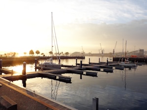 A vibrant scene of club members preparing their sailboats by the dock at sunrise.