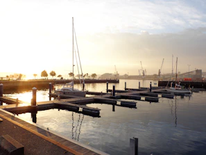 A serene sunrise casting golden light over a line of electric boats docked side by side.