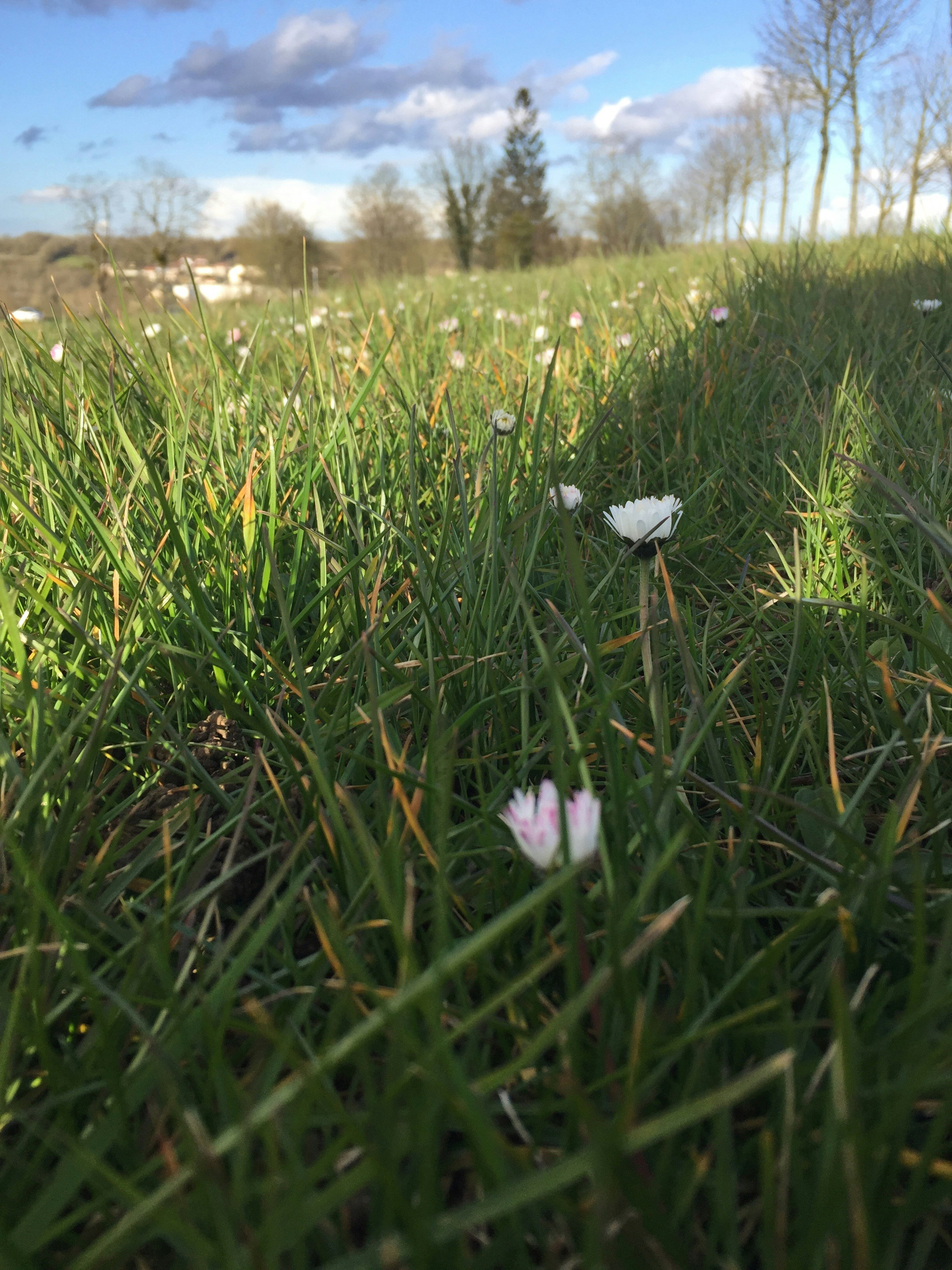 Free Unsplash photo from Arien Afshar