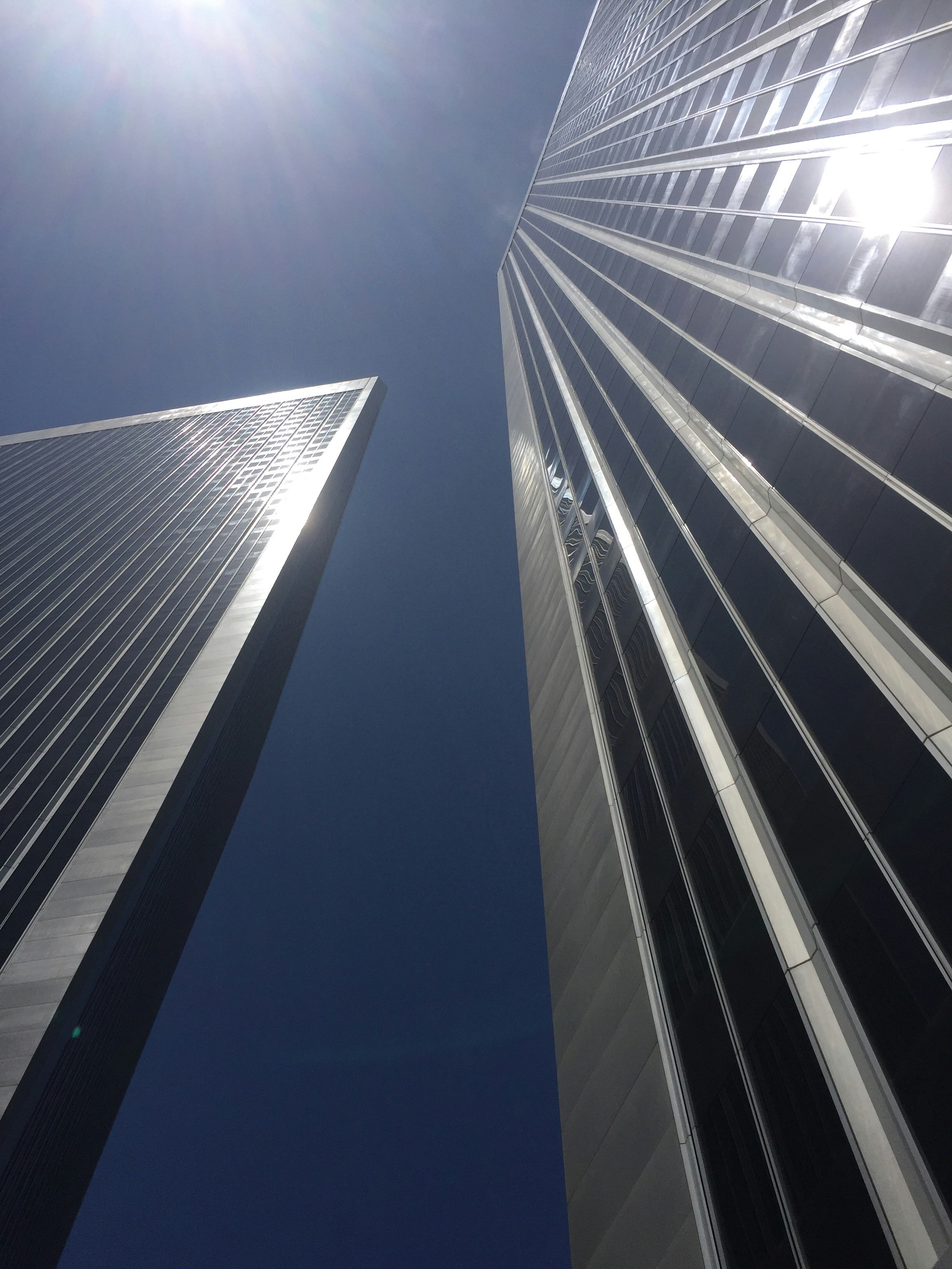 Free Unsplash photo from Arien Afshar