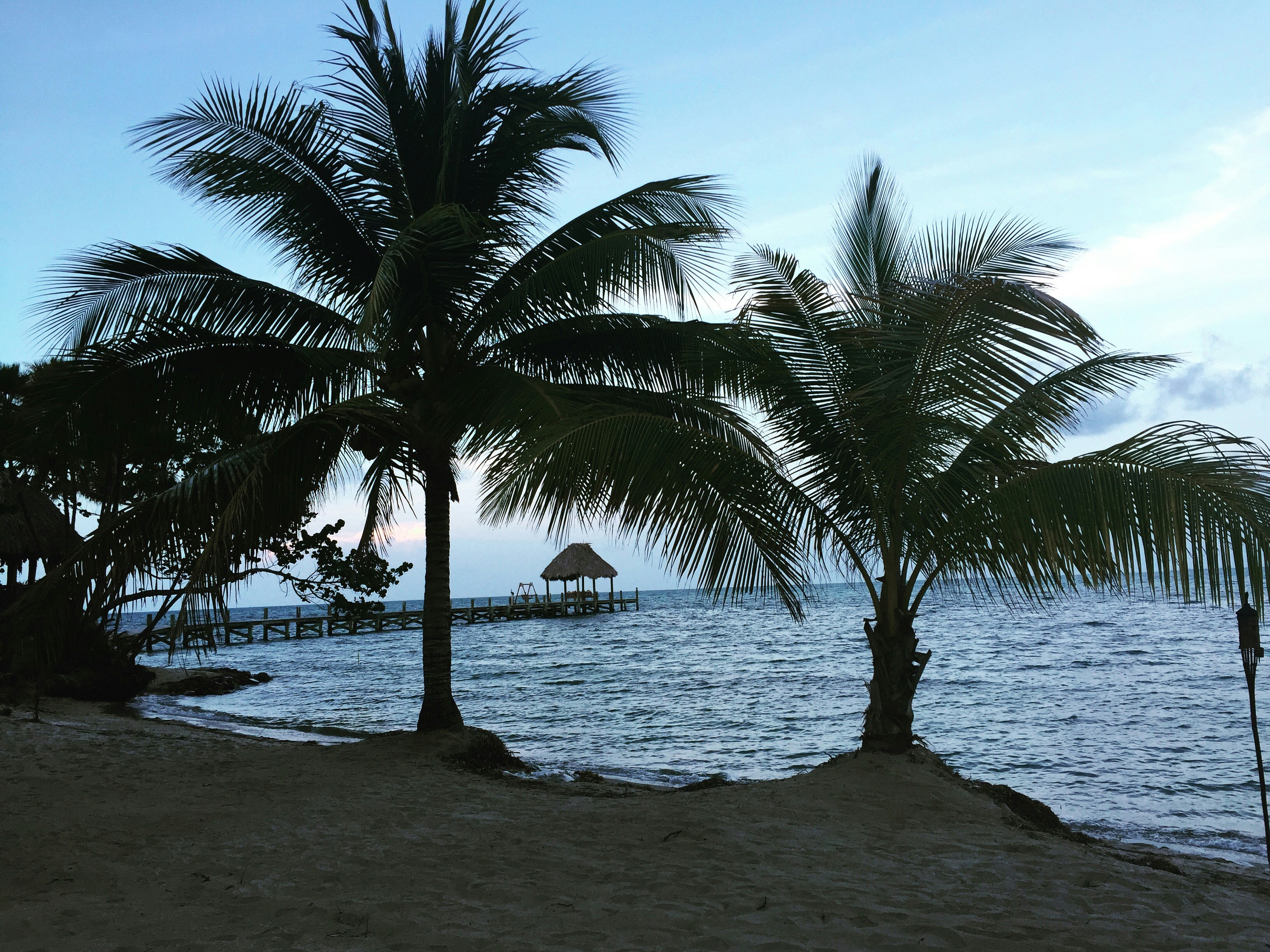 Free Unsplash photo from Arien Afshar