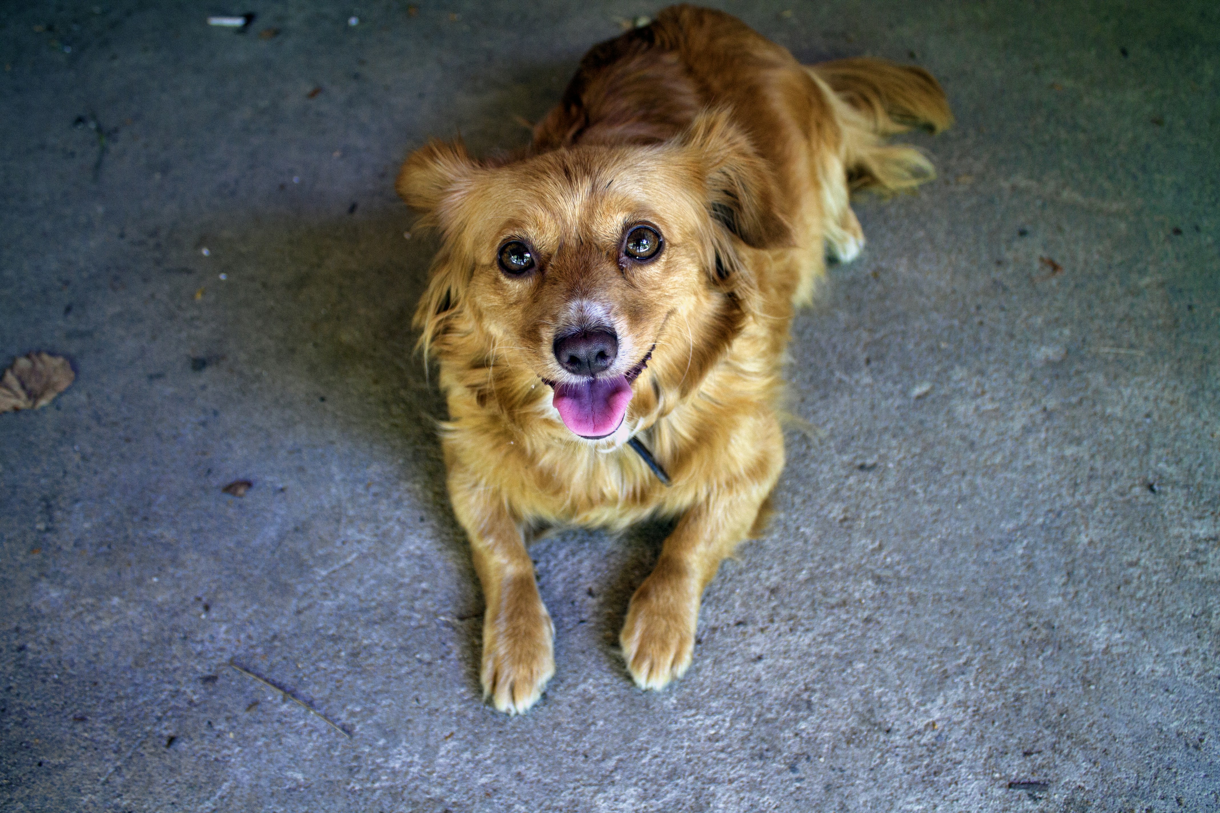 Free Unsplash photo from Ana Oliveira