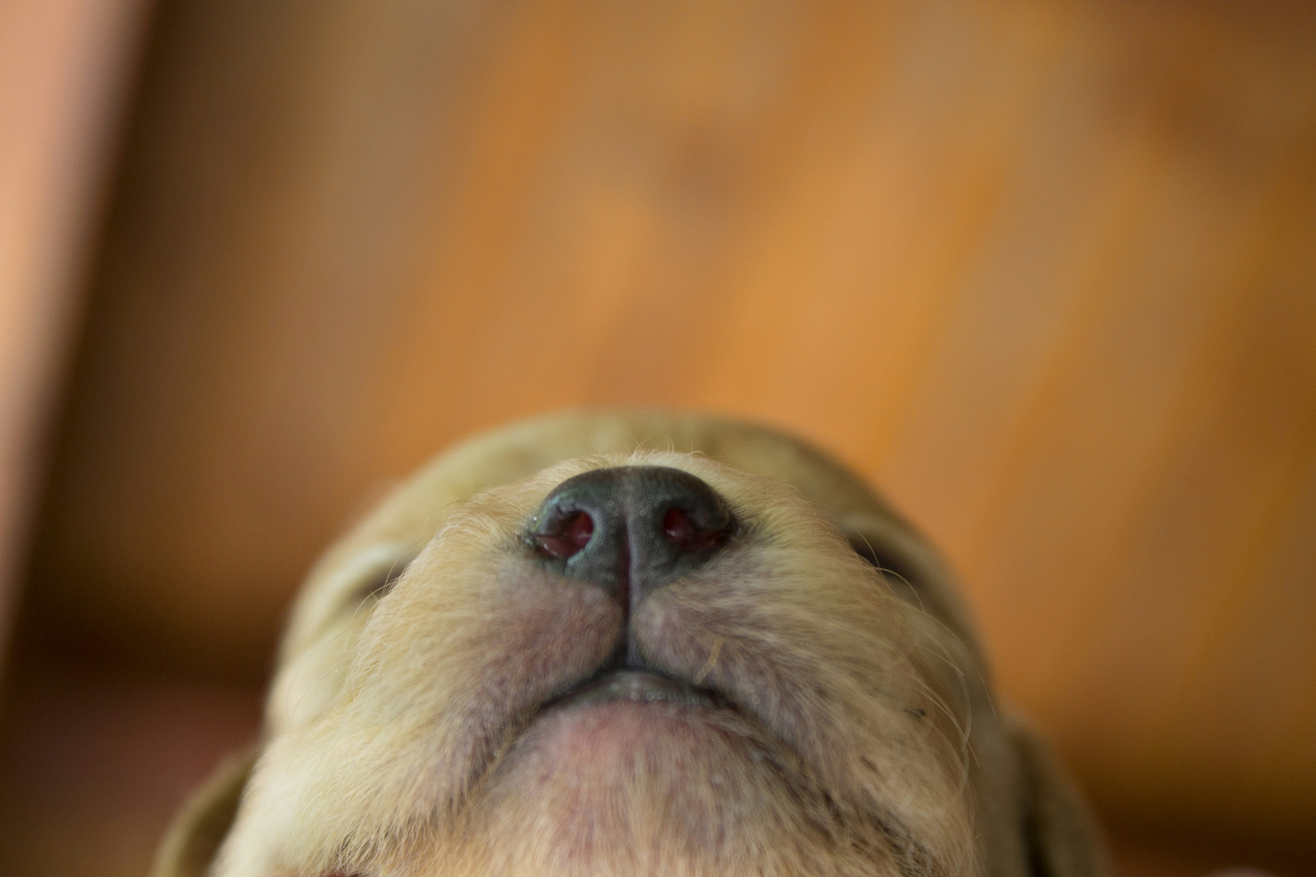 Free Unsplash photo from Ana Oliveira