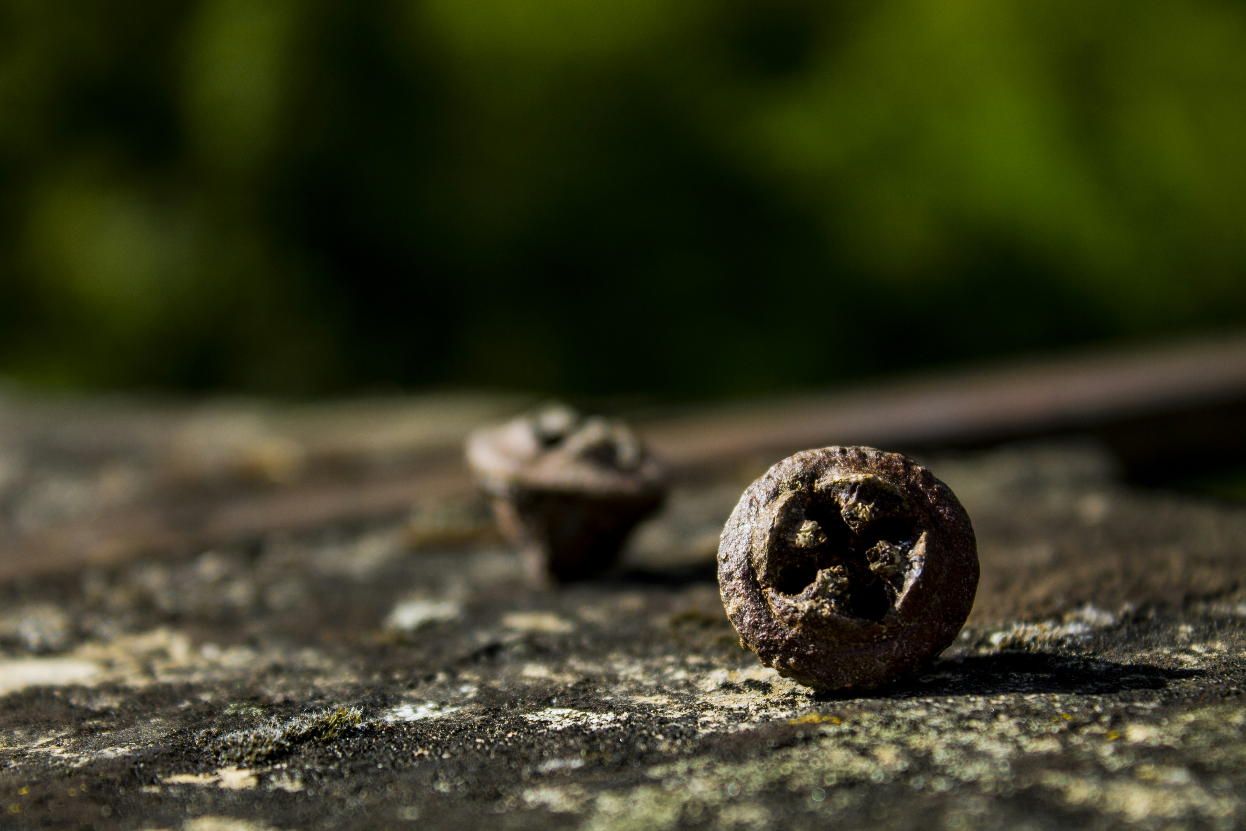 Free Unsplash photo from Ana Oliveira