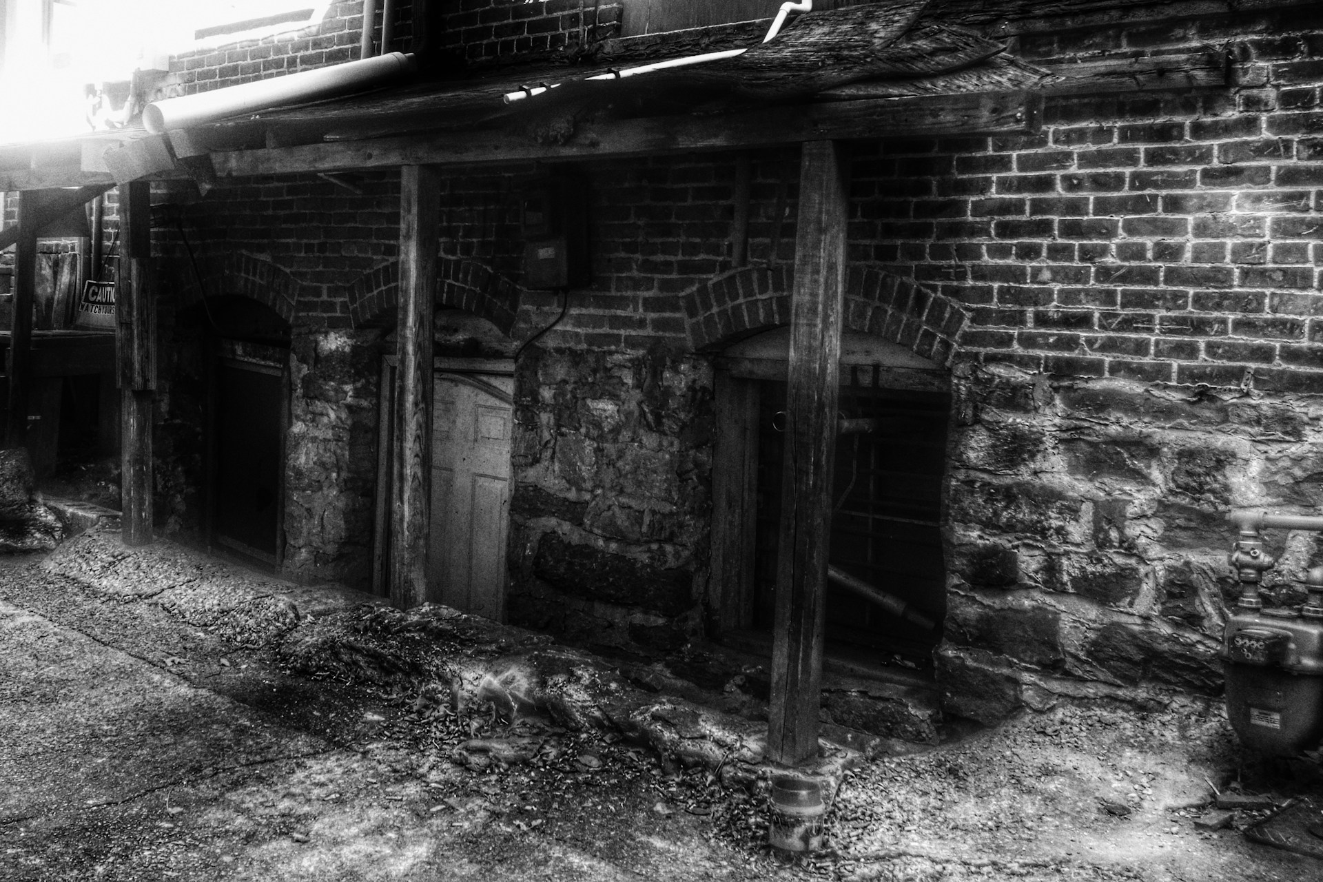 woman wearing yellow long-sleeved dress under white clouds and blue sky during daytime