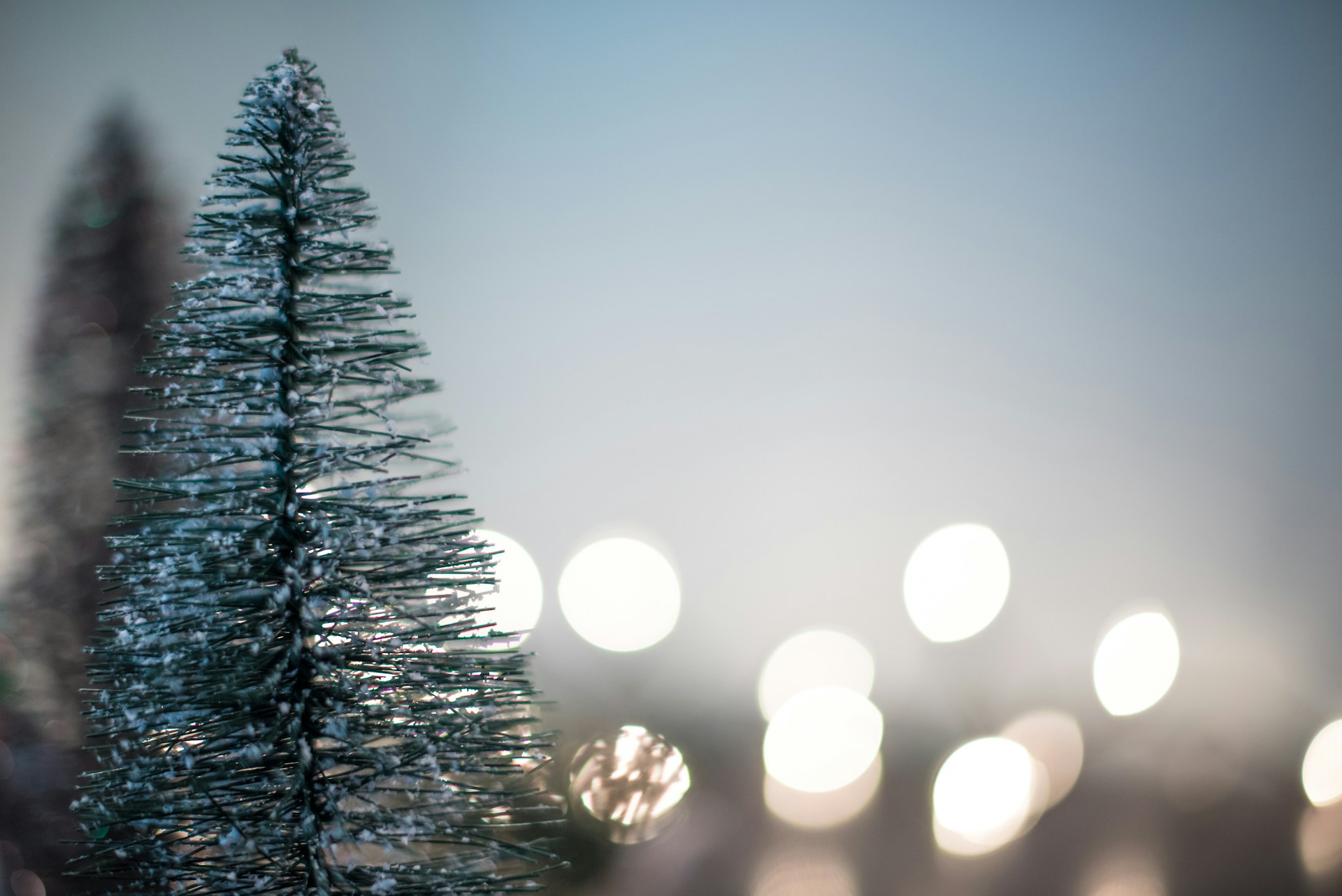 green Christmas tree with boke lights background