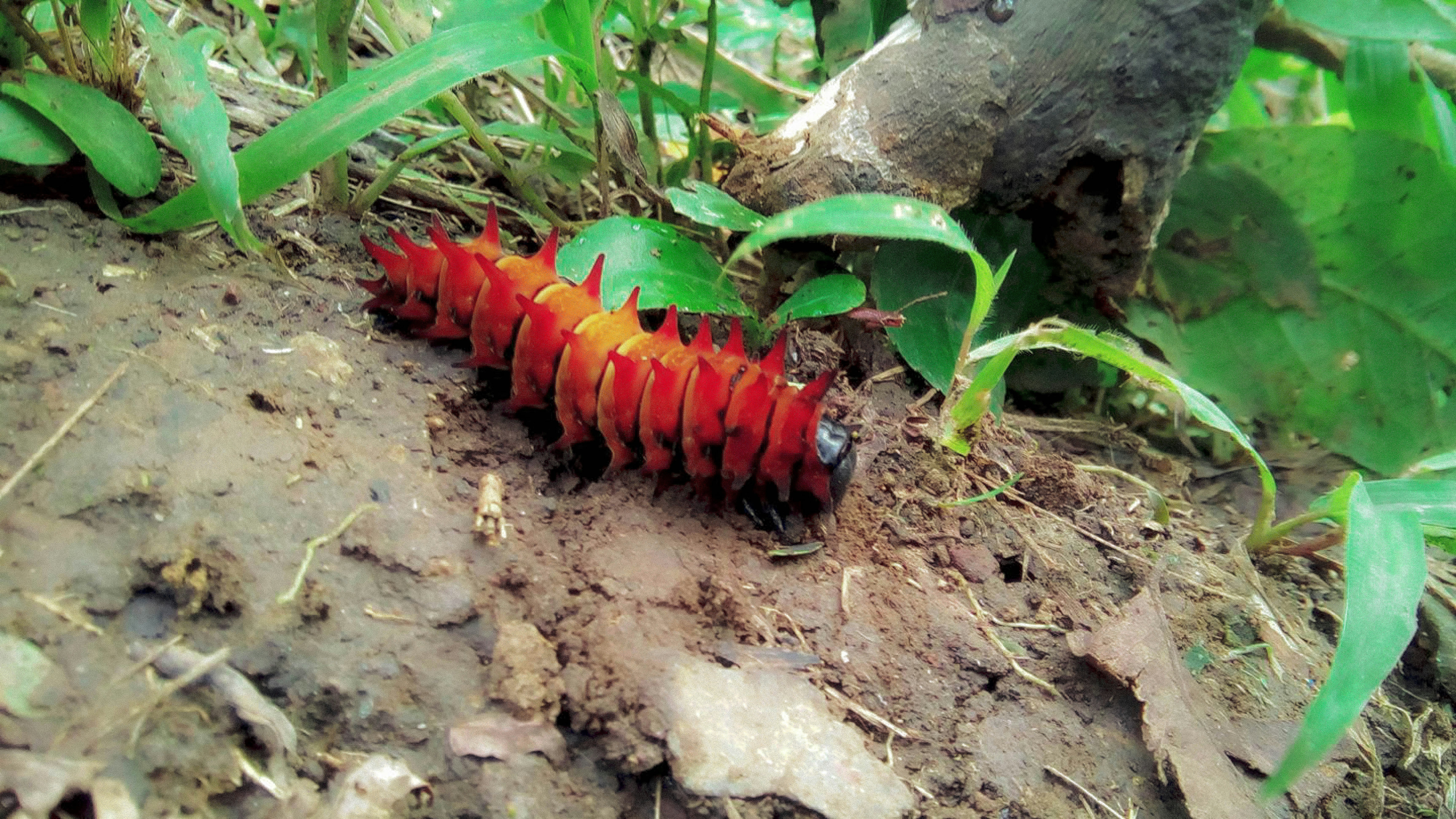 Free Unsplash photo from Kay Ann Morales