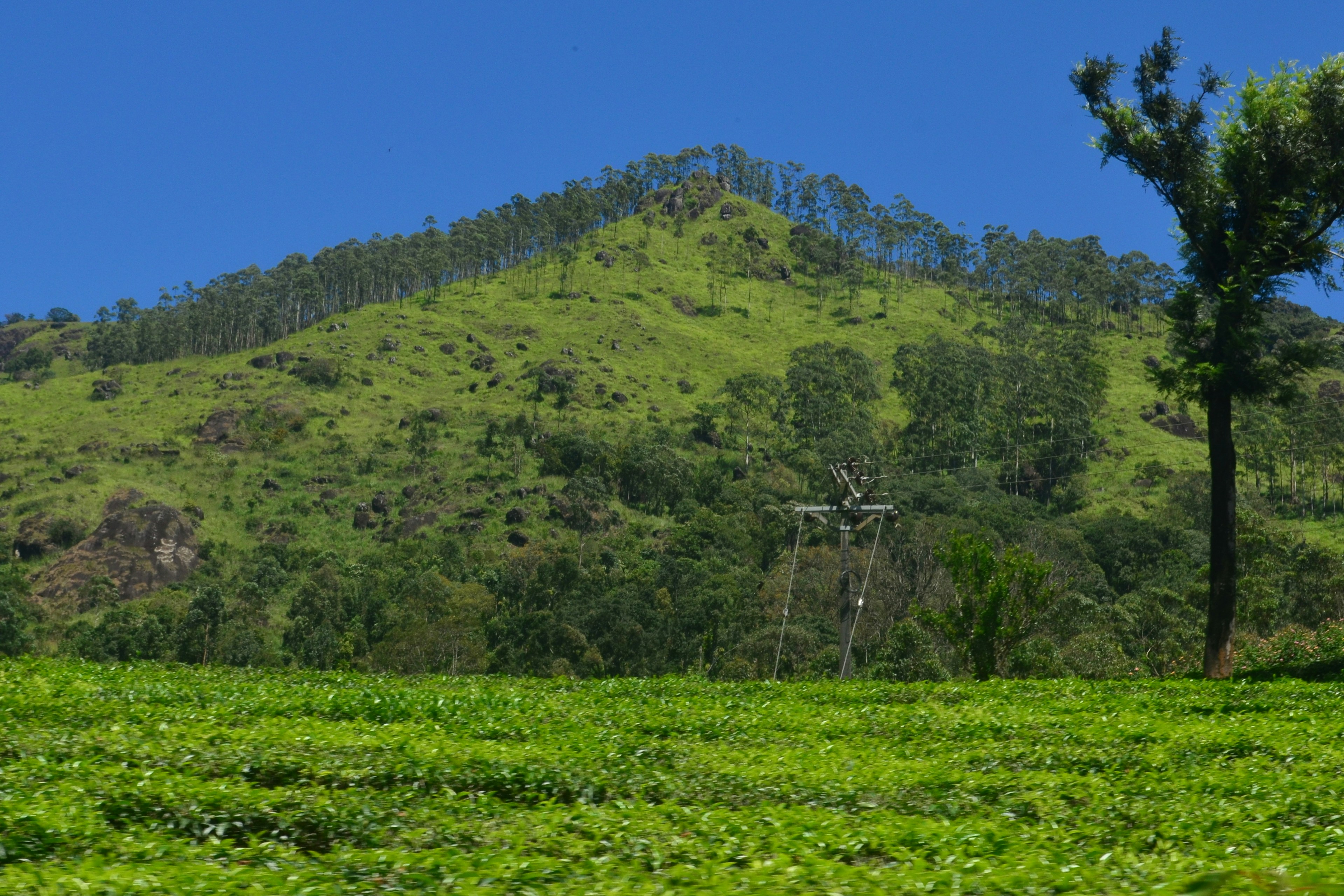 Free Unsplash photo from arun k s