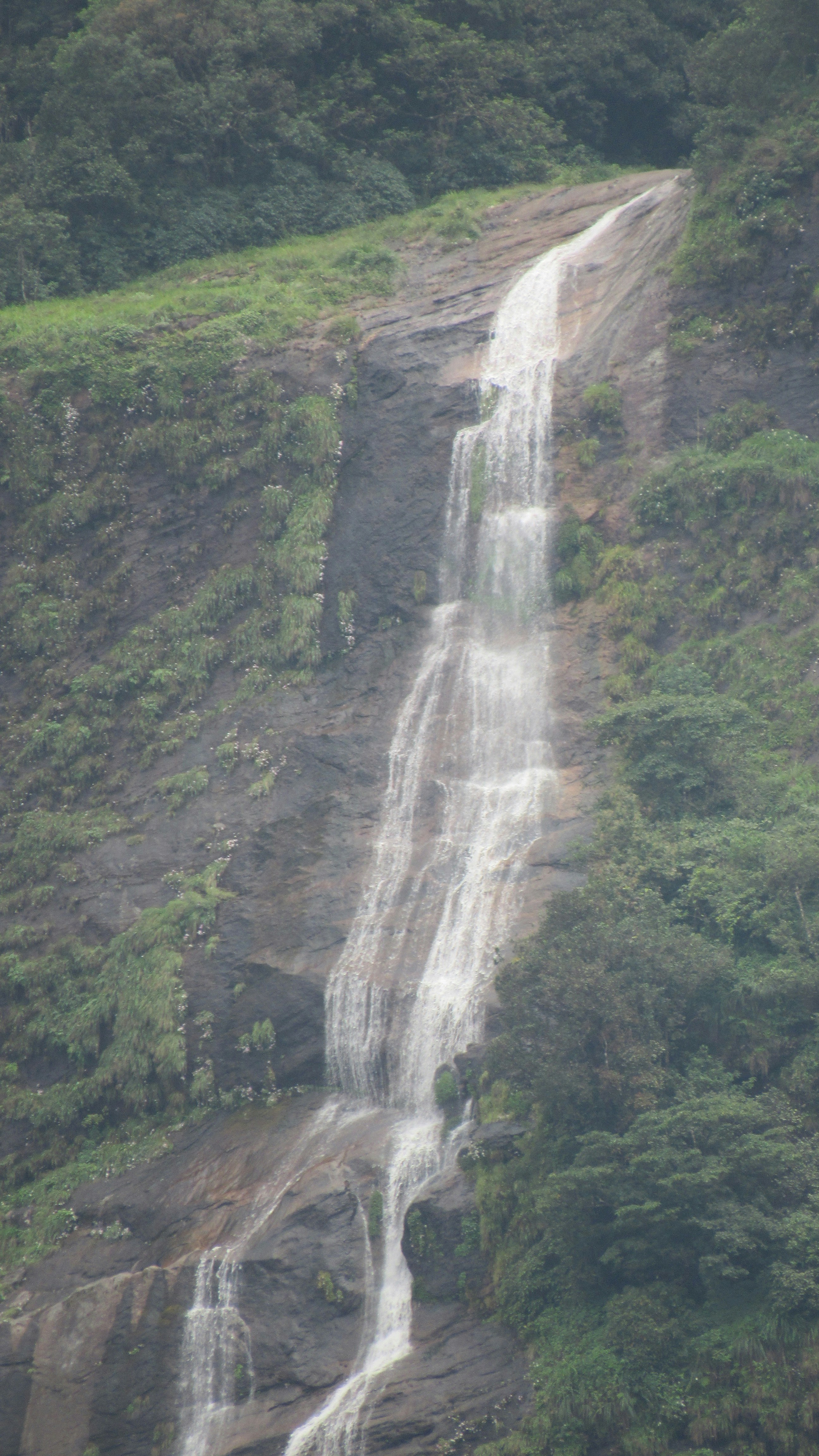 Free Unsplash photo from arun k s