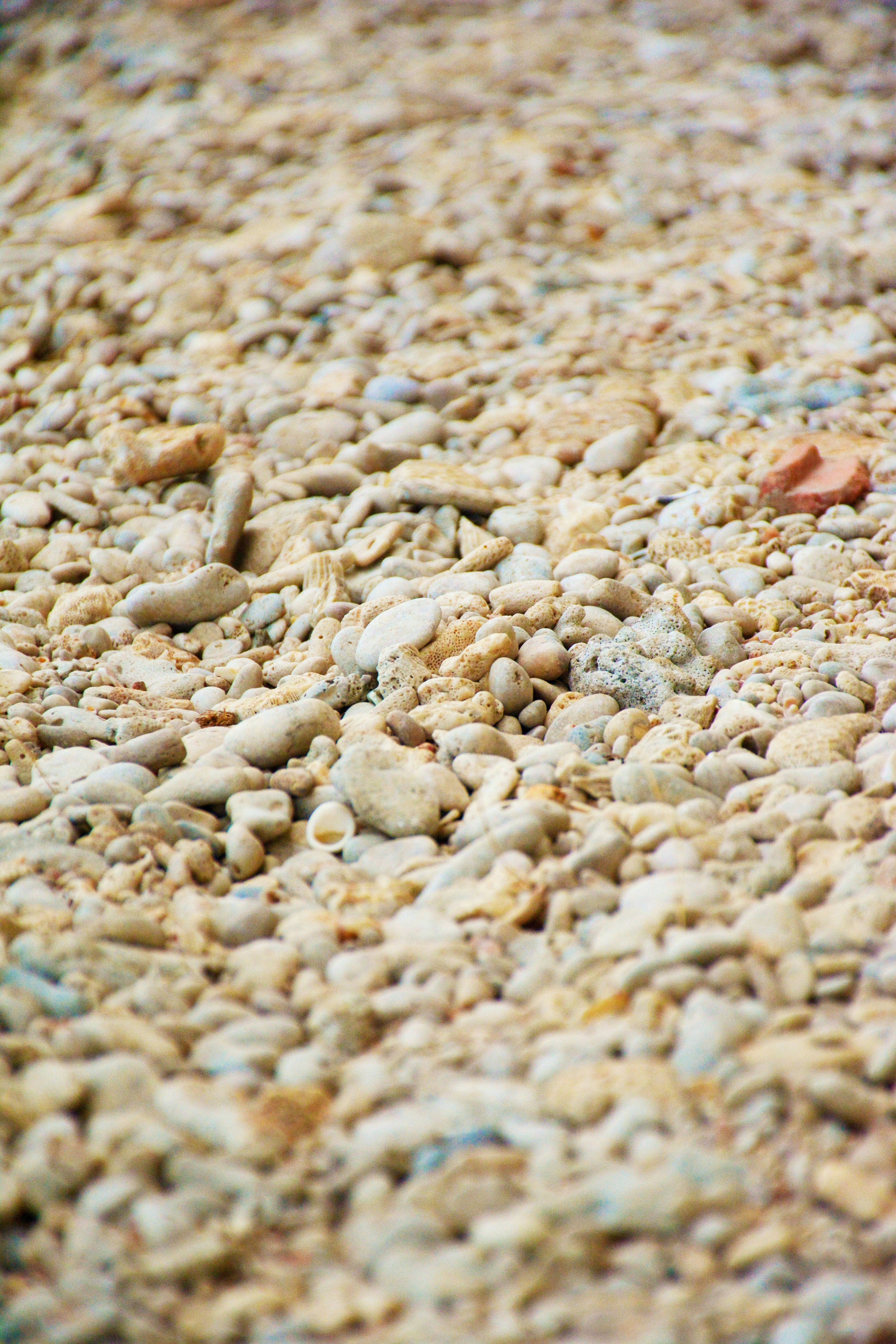 Free Unsplash photo from Roshen Perera