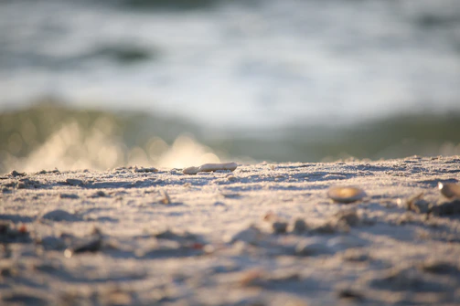 Close-up of tropical flowers and seashells on soft white sand with gentle ocean waves in the background.
