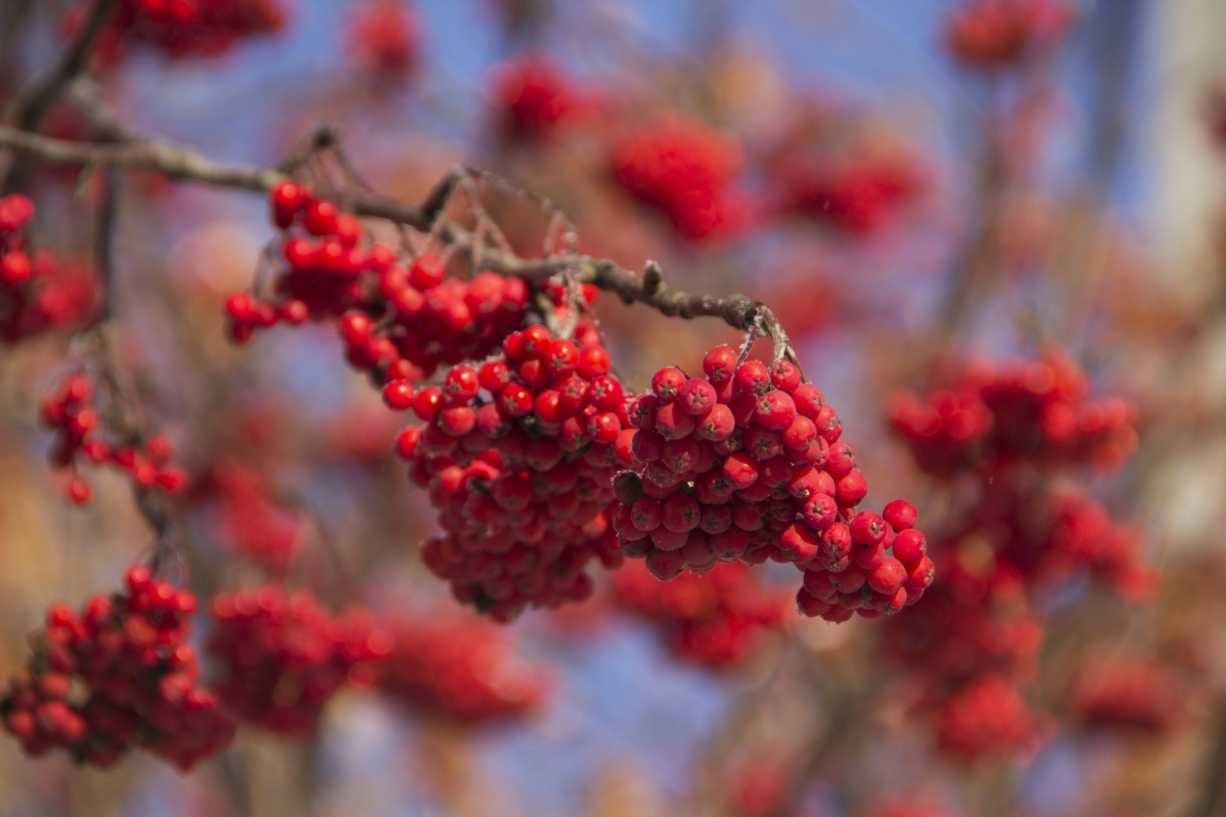 Free Unsplash photo from Kirill Zhuravlev